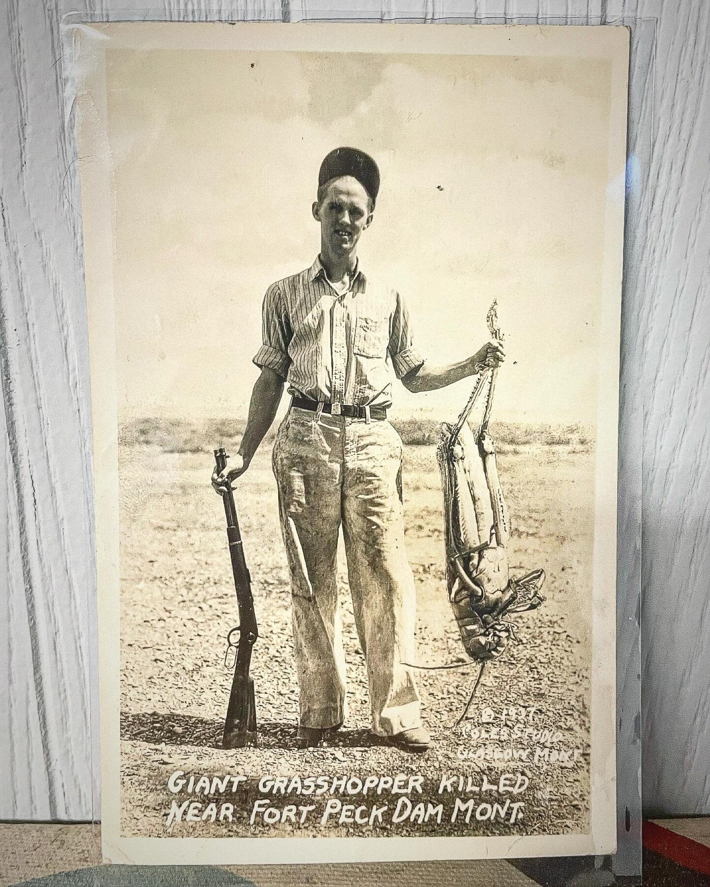 Very recently this week, I acquired an original 1937 Giant Grasshopper photo postcard, also known as a &ldquo;Whopper Hopper&rdquo; card, for display in the Cabinet of Curiosities. This image, which has gone on to trick the masses into believing that