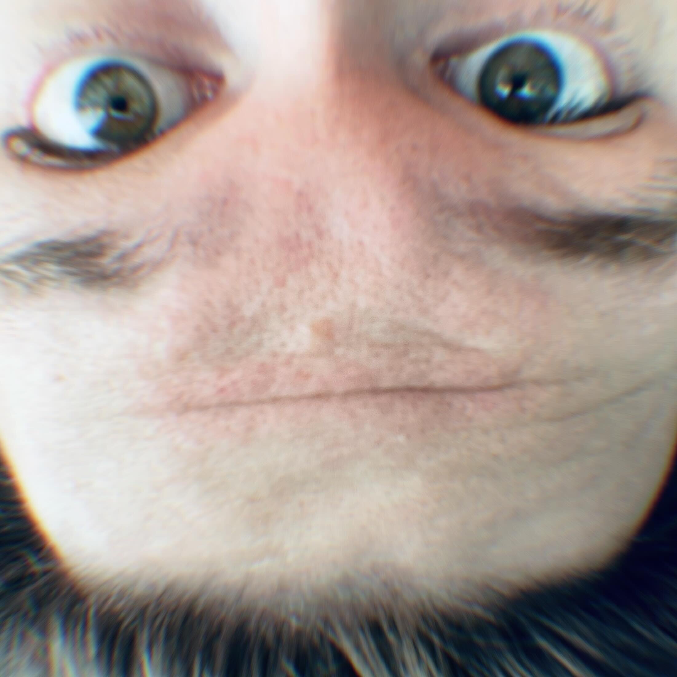 If I take a photo of myself and turn it upside down, I become a muppet. And once you see it, you can never unsee it.