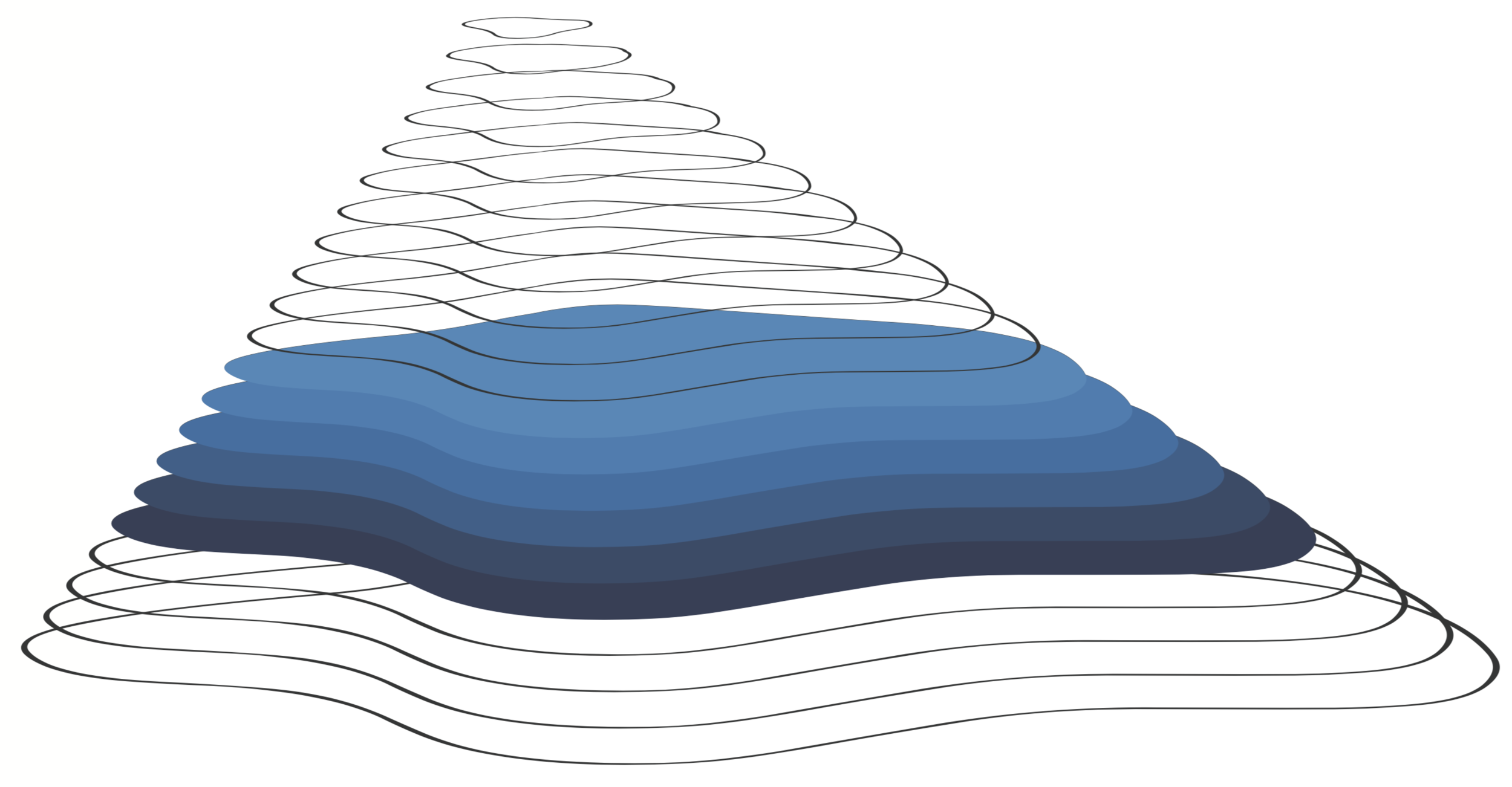 VALUENEX Contour Graphic.png