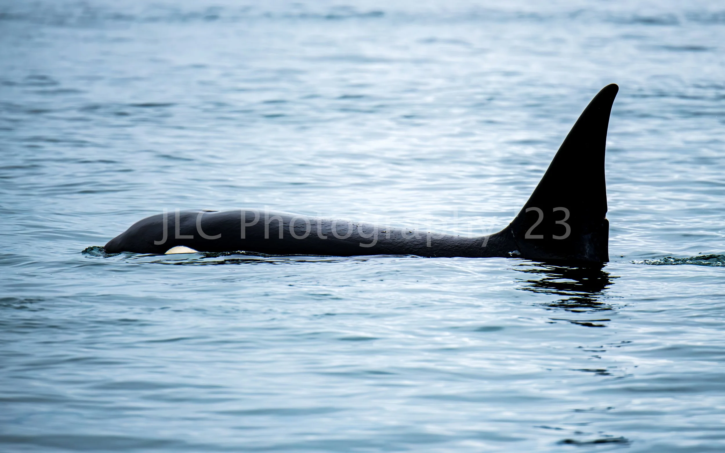 Alaska-023.jpg
