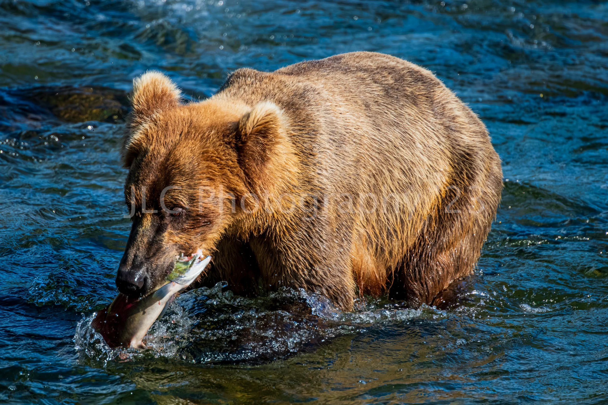 Alaska-066.jpg