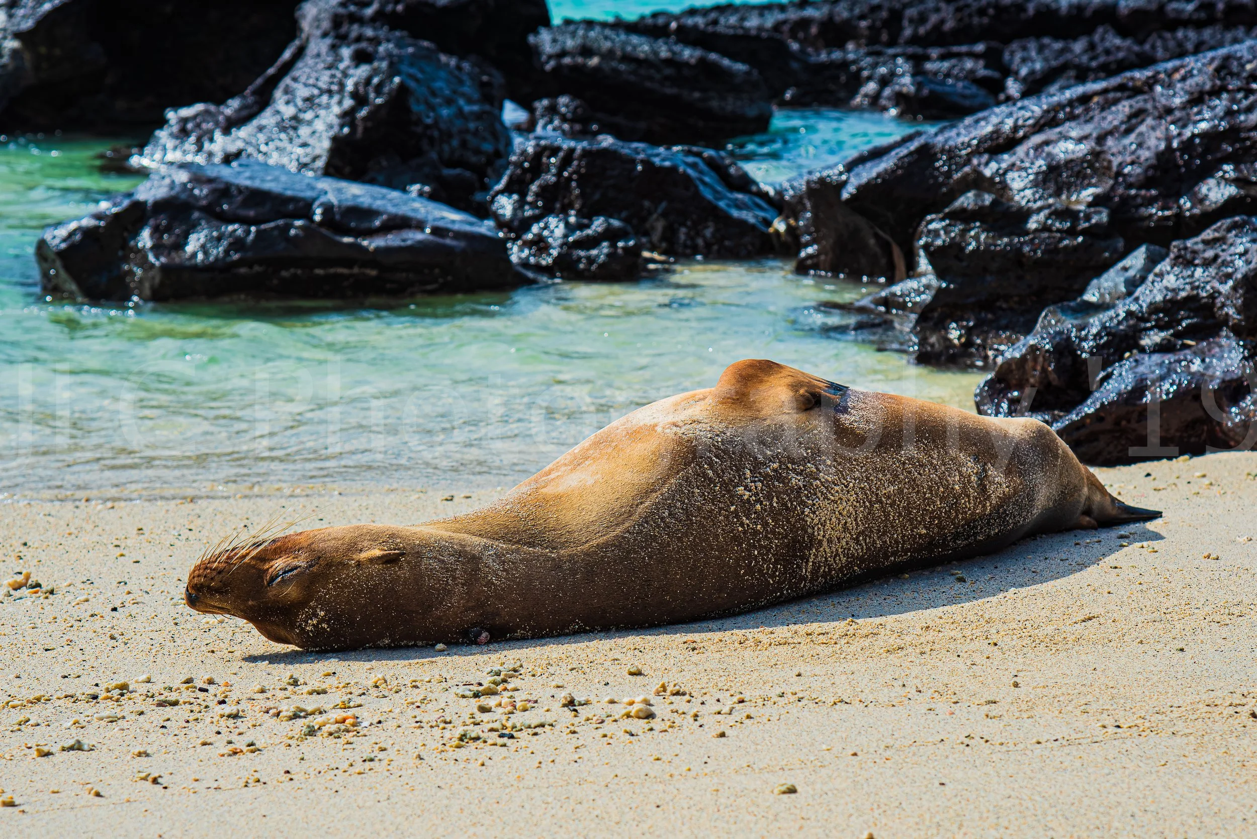 Ecuador 2019-121.jpg