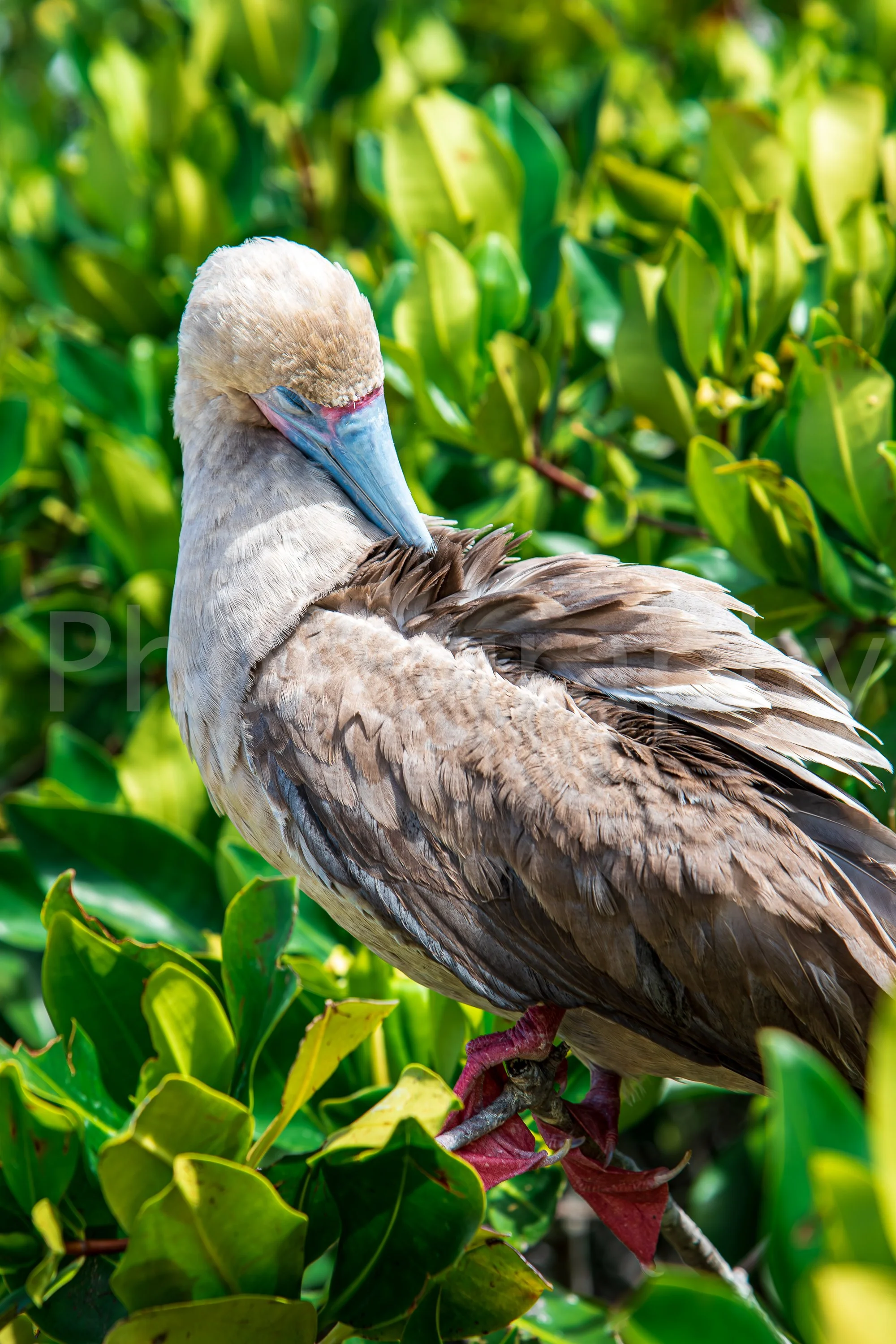 Ecuador 2019-150.jpg