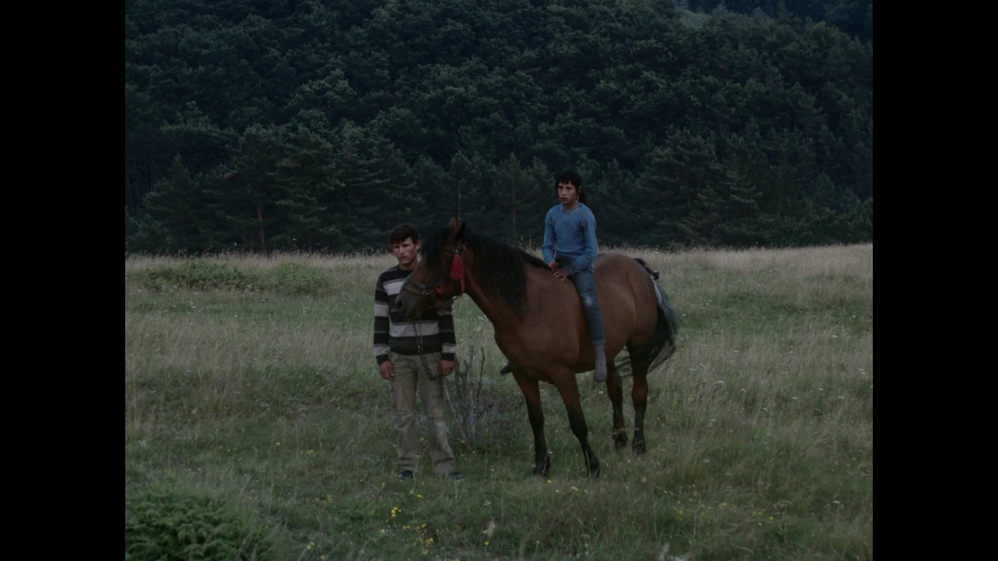 A raw depiction of a young man coming home after months in confinement, reconnecting with his family and future wife. The enigmatic nature of the film represents a rudimentary form of narrative, exploring a sense of physical directness and romantic longing. 3'30", 2015 vimeo.com/176702262 Produced by Somesuch , deFilm Commissioned by Channel 4