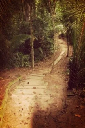 path-200x300+(3).jpg