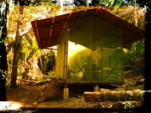 tambo-300x225+(2).jpg
