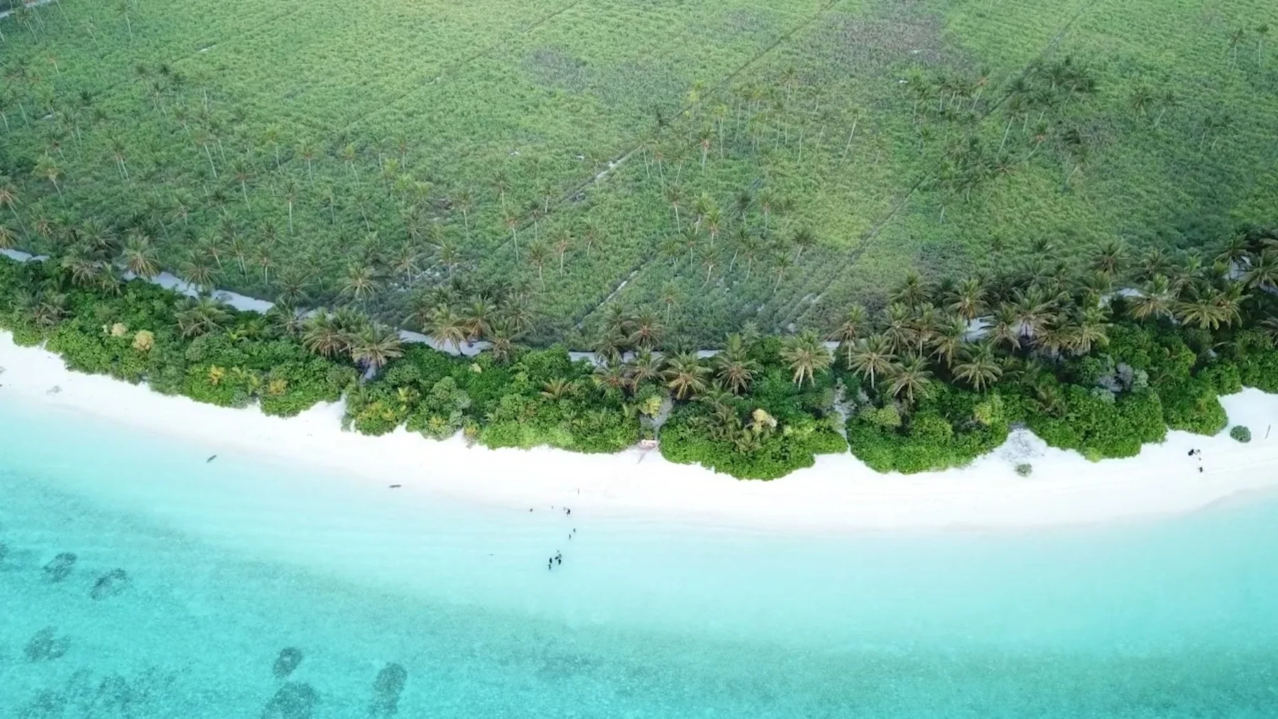 Thoddoo Beach