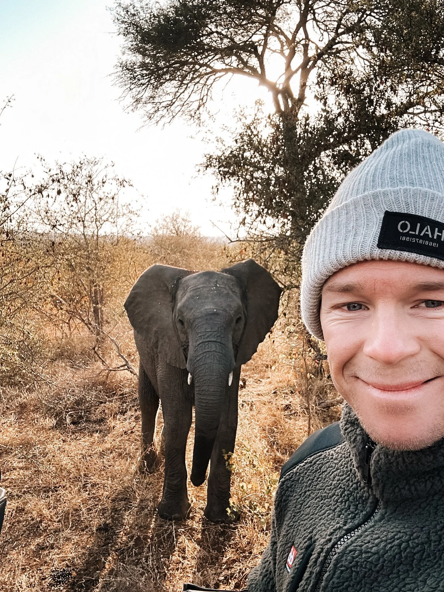 This time for Africa 🐆🐾🇿🇦🇲🇿

Gentagende eftersp&oslash;rgsler (over lang lang tid), m&aring;neders research og kontakt til samarbejdspartnere har resulteret i, at vi nu ogs&aring; tilf&oslash;jer Sydafrika og 🥁

.. Mozambique til vores portef&