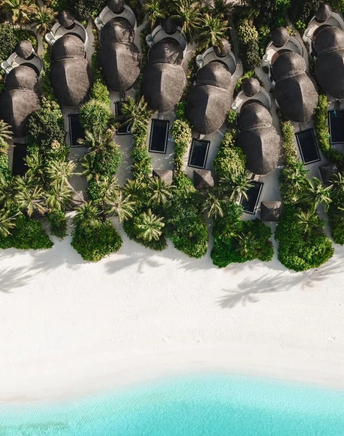 Maldiverne, uge 42, strandvilla med egen pool og familietid? 🗓️🏝️🛖🧑&zwj;🧑&zwj;🧒&zwj;🧒

Det er ret s&oslash;d musik i vores &oslash;rer 😍🎶🎺

Men hvis du lige skal have lidt highlights for at blive helt overbevist, s&aring; kommer de her ⬇️

