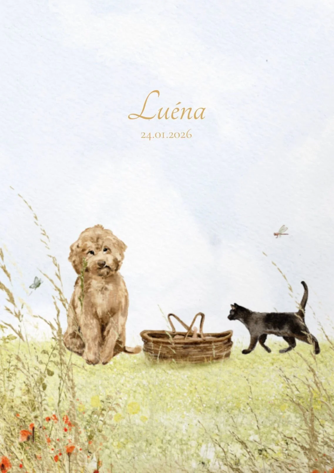 Baby Luéna is geboren! 