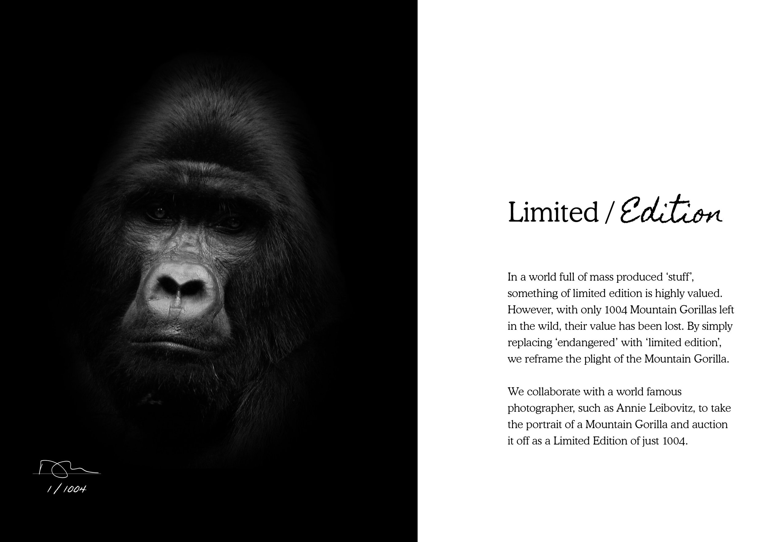 Gorilla_Doctors_Deck_P1 (1).jpg