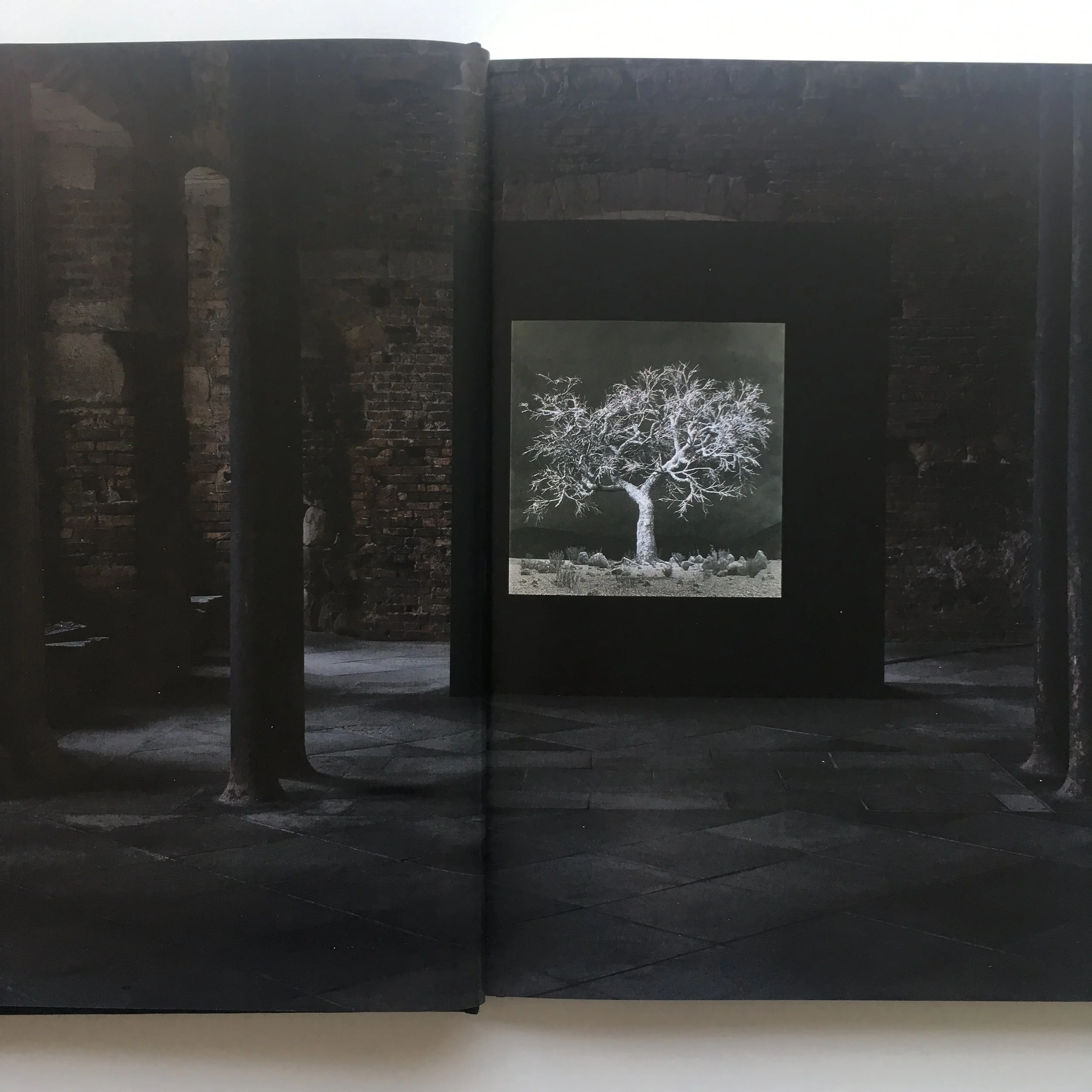  Image description: A large book is open to a full spread image of a dimly lit redbrick room, reminiscent of a cellar. In the centre of the room is a freestanding wall, on which a very large greyscale photographic image is installed of a twisted tree