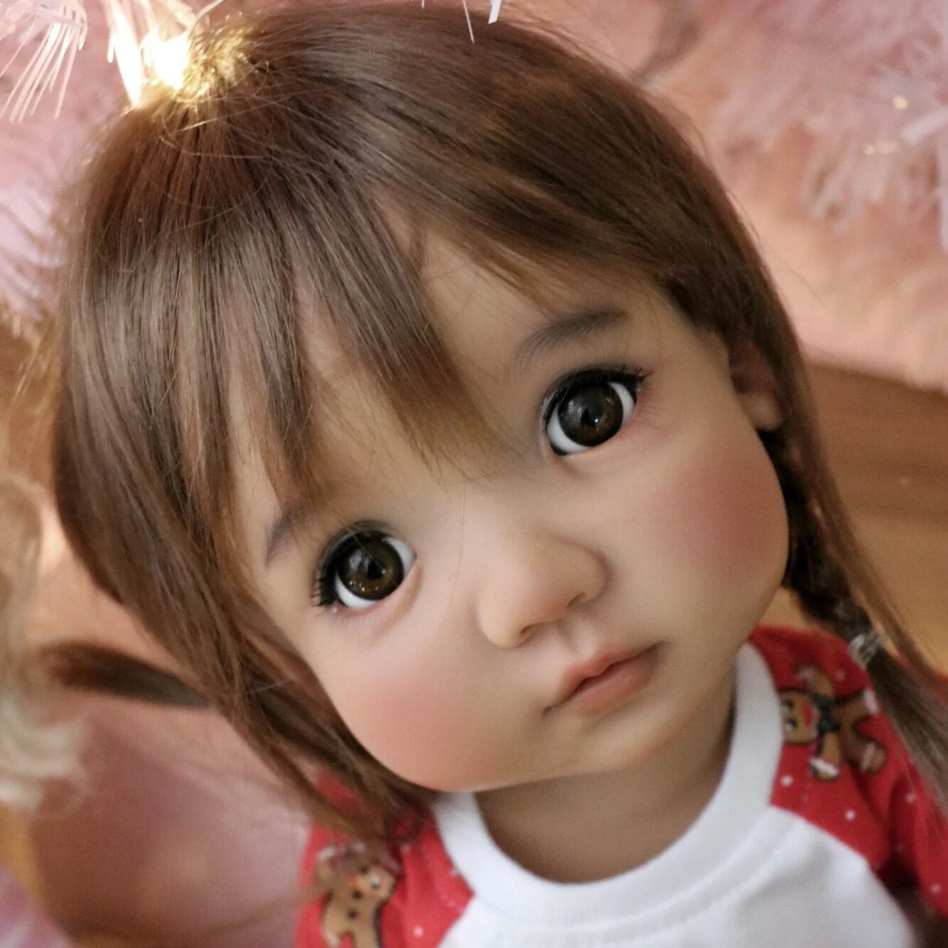 49217268741_a6a8ecc45b_k.jpg