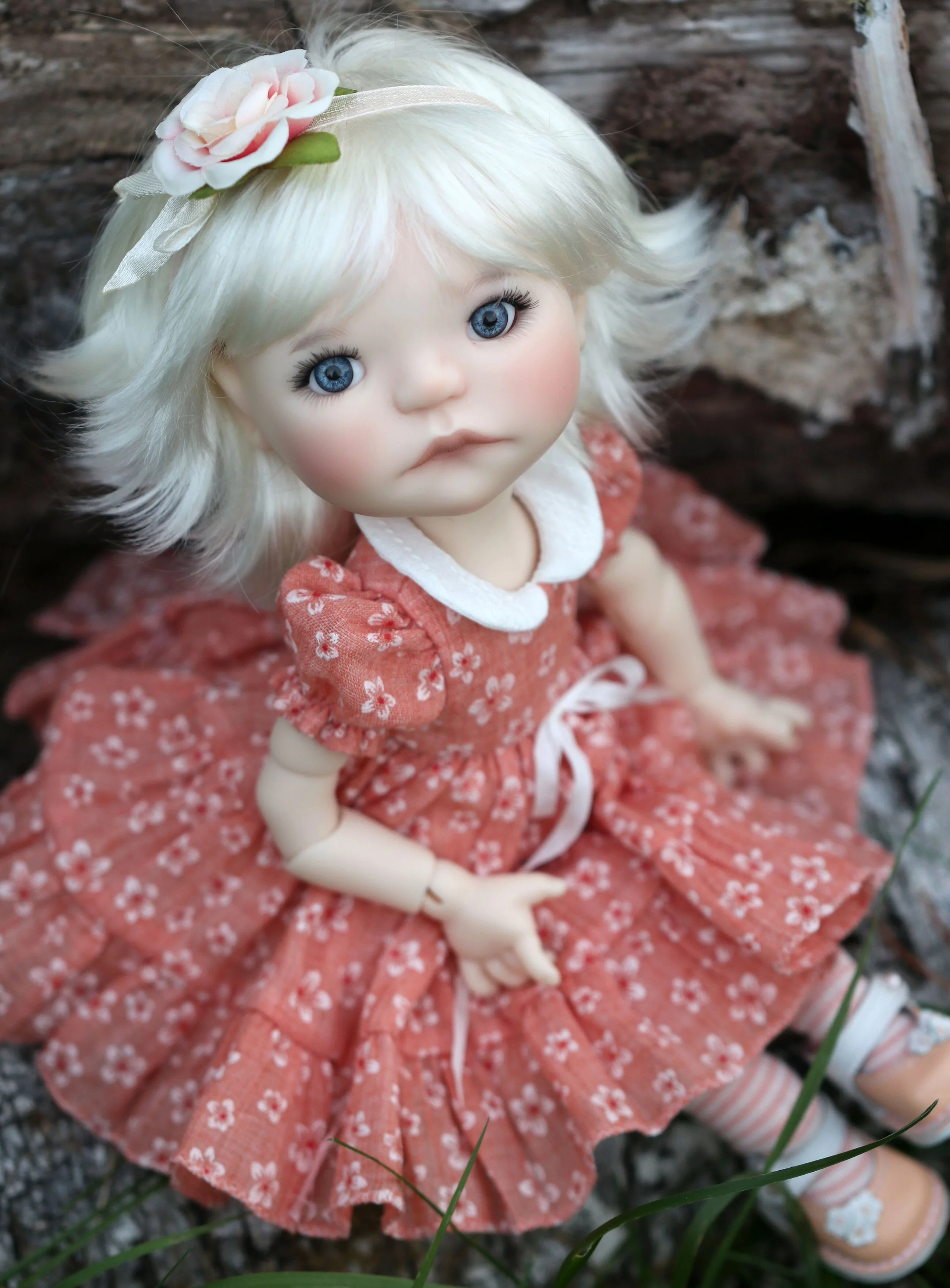img_0248_54081395624_o.jpg