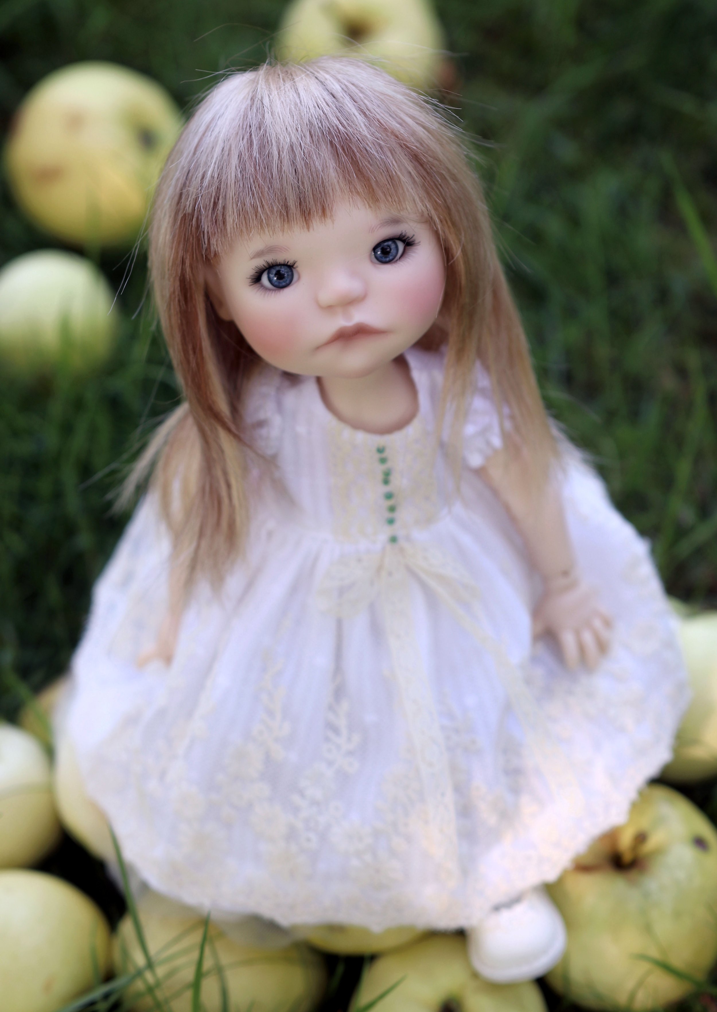 img_0428_54081313488_o.jpg