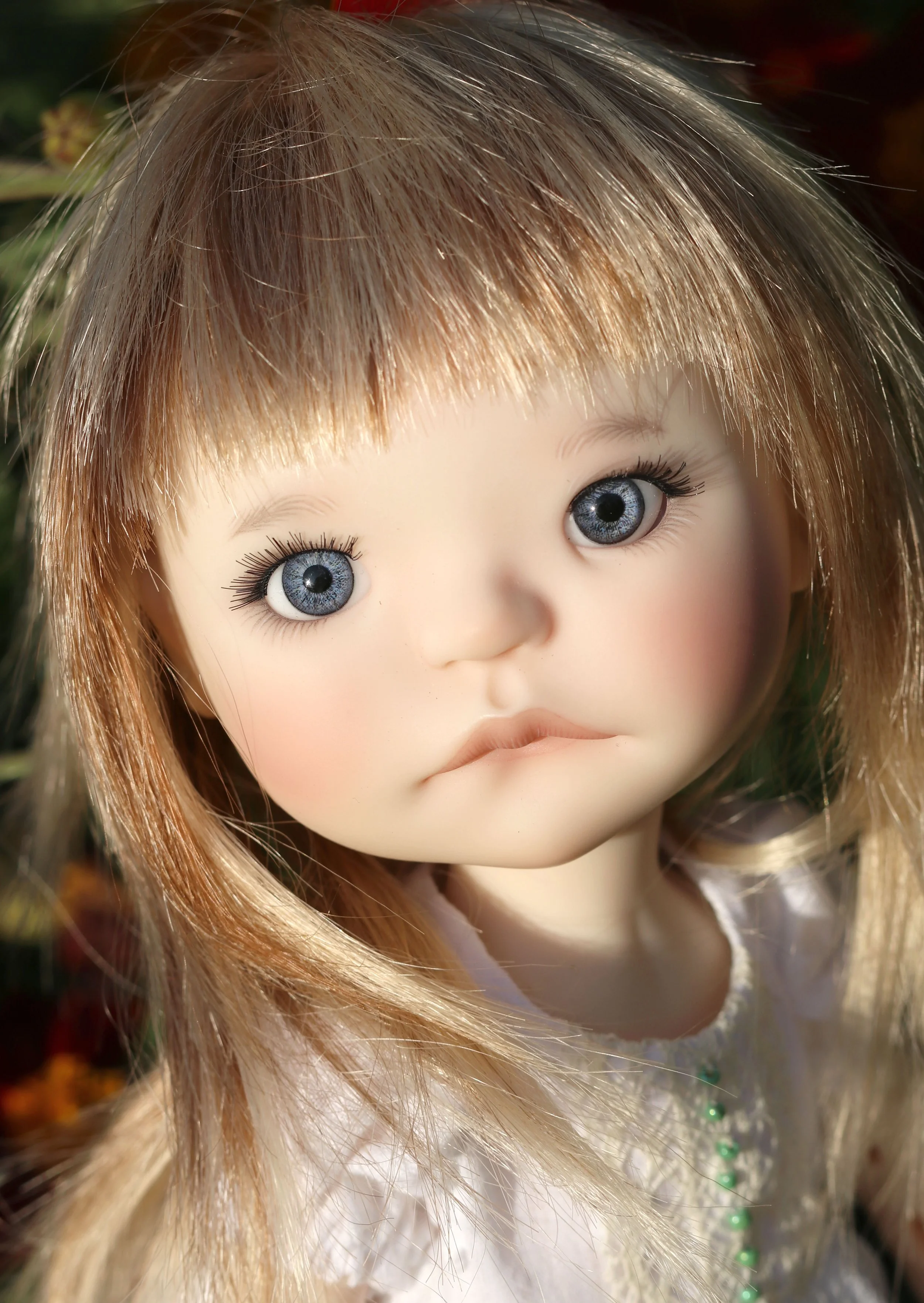 img_0478_54081395489_o.jpg