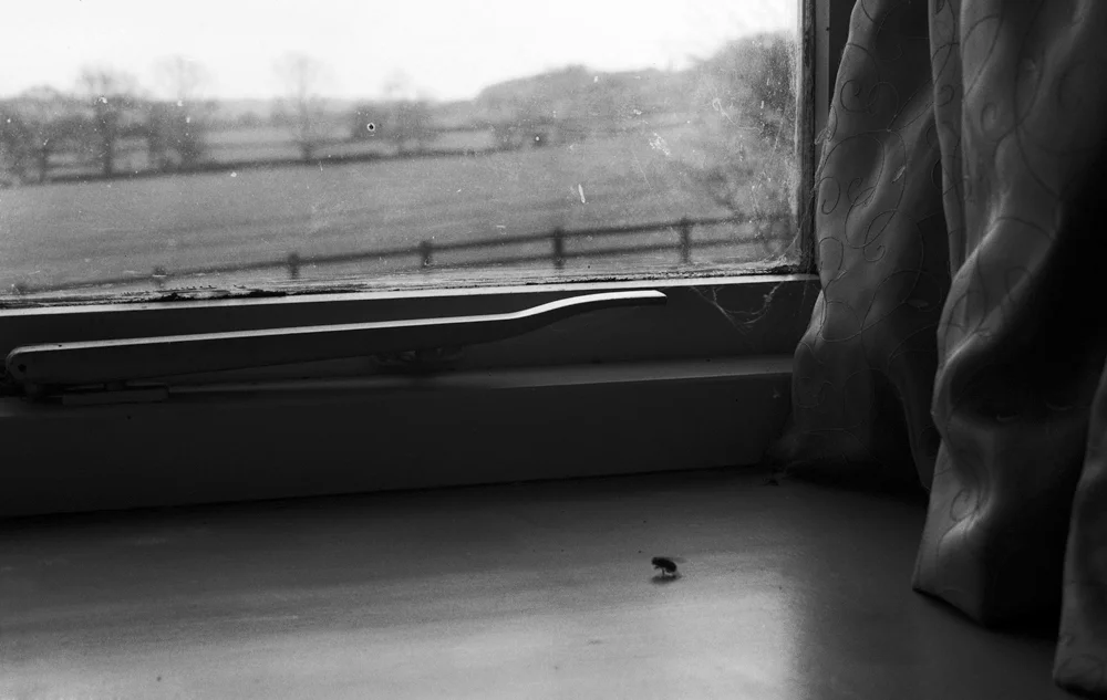 0001_viewbook-01.jpg