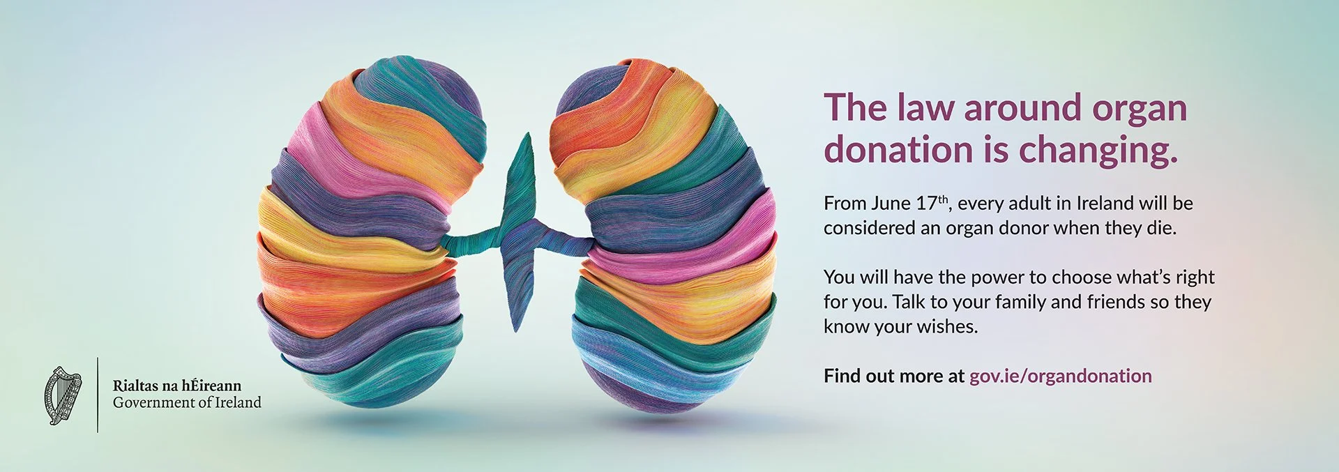 Organ Donation_DartCard_Kidneys.jpg