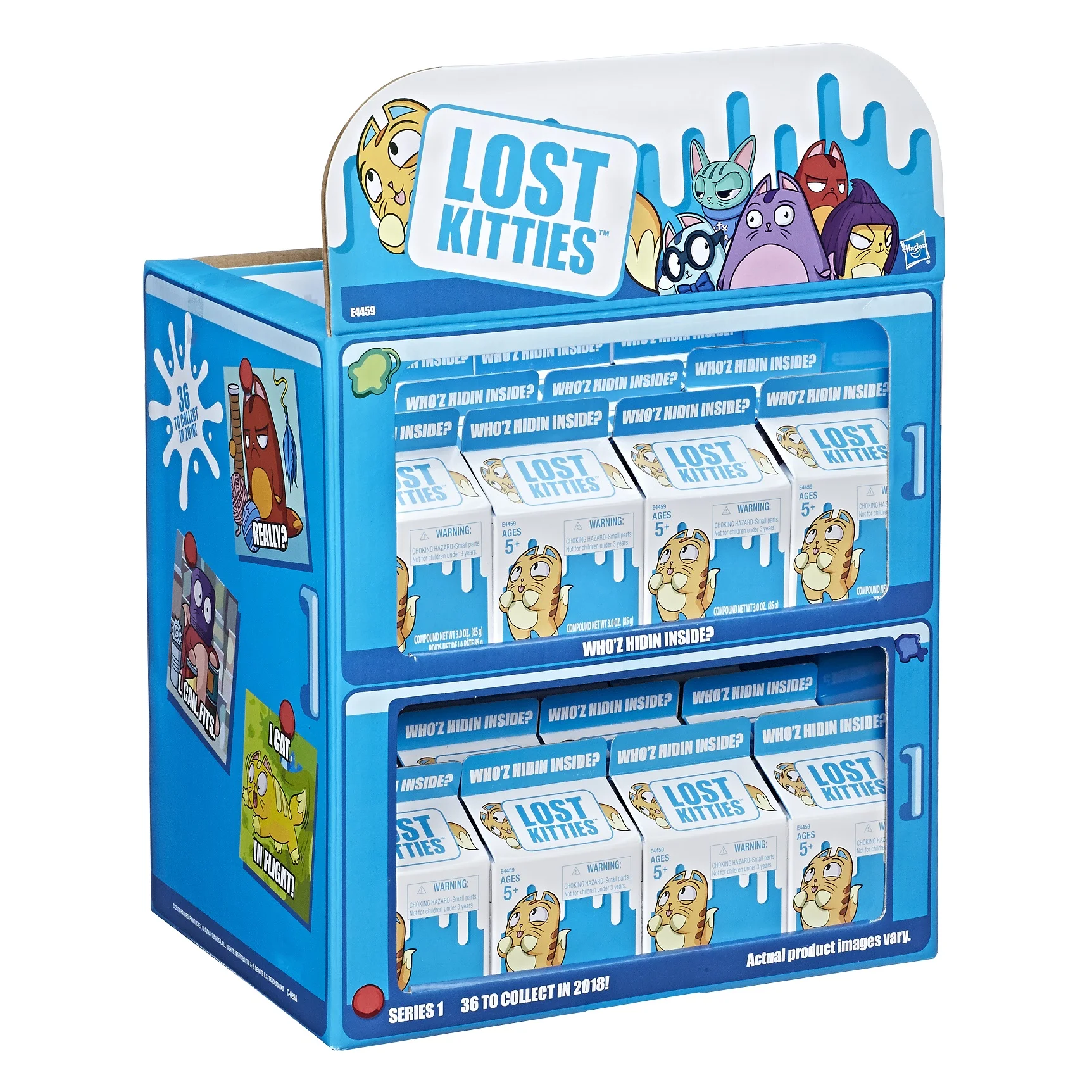 2018 Lost Kitties Full PDQ.jpg