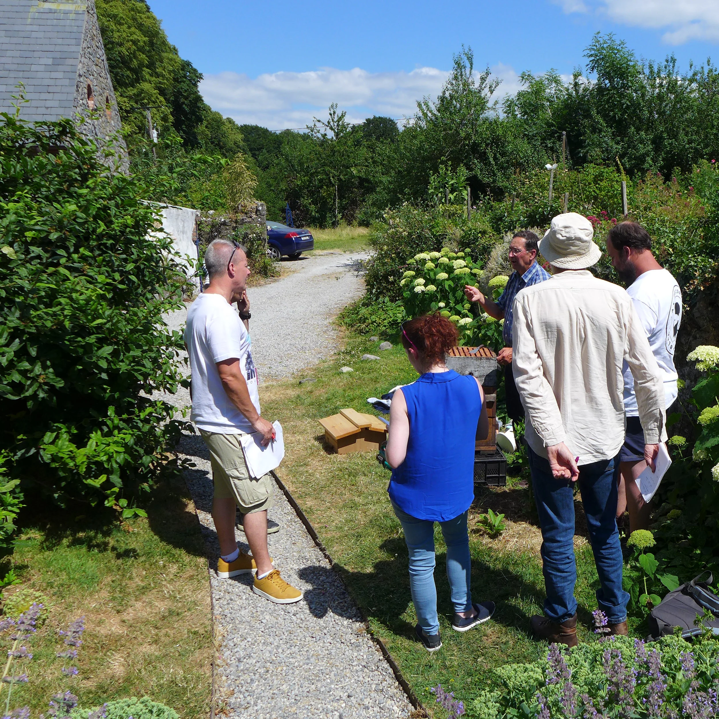 Bee Stewardship3.jpg