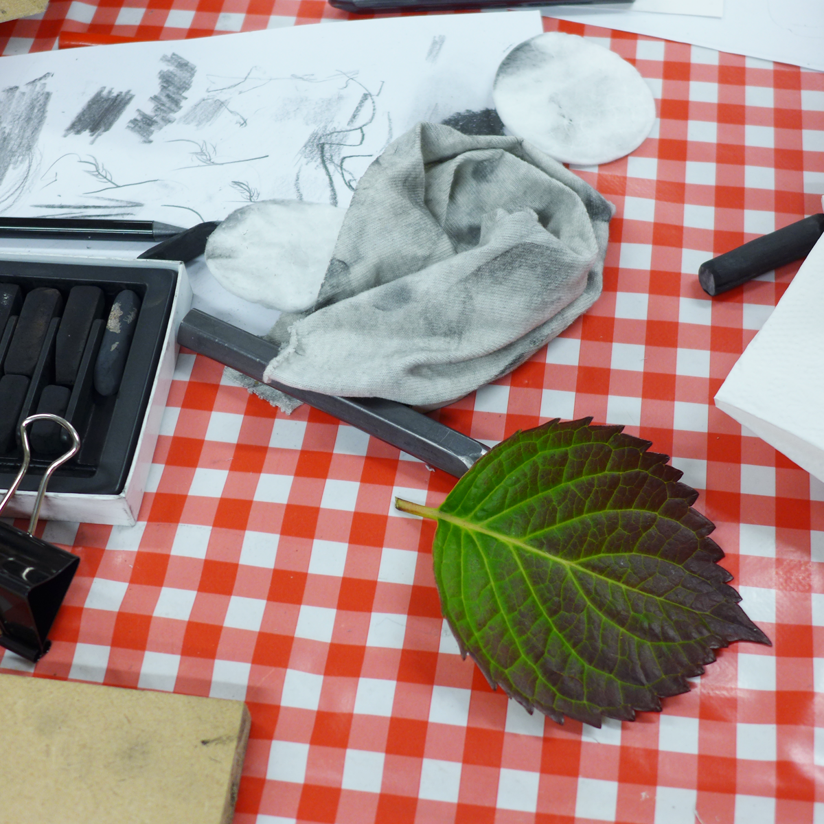 Drawing Inspiration from Nature
