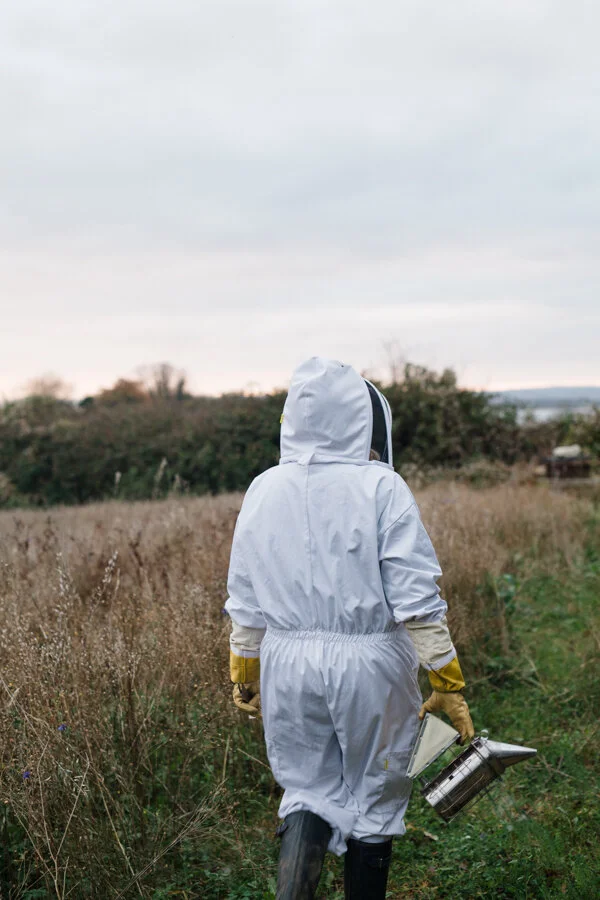 THE SECRET LIFE OF URBAN BEES