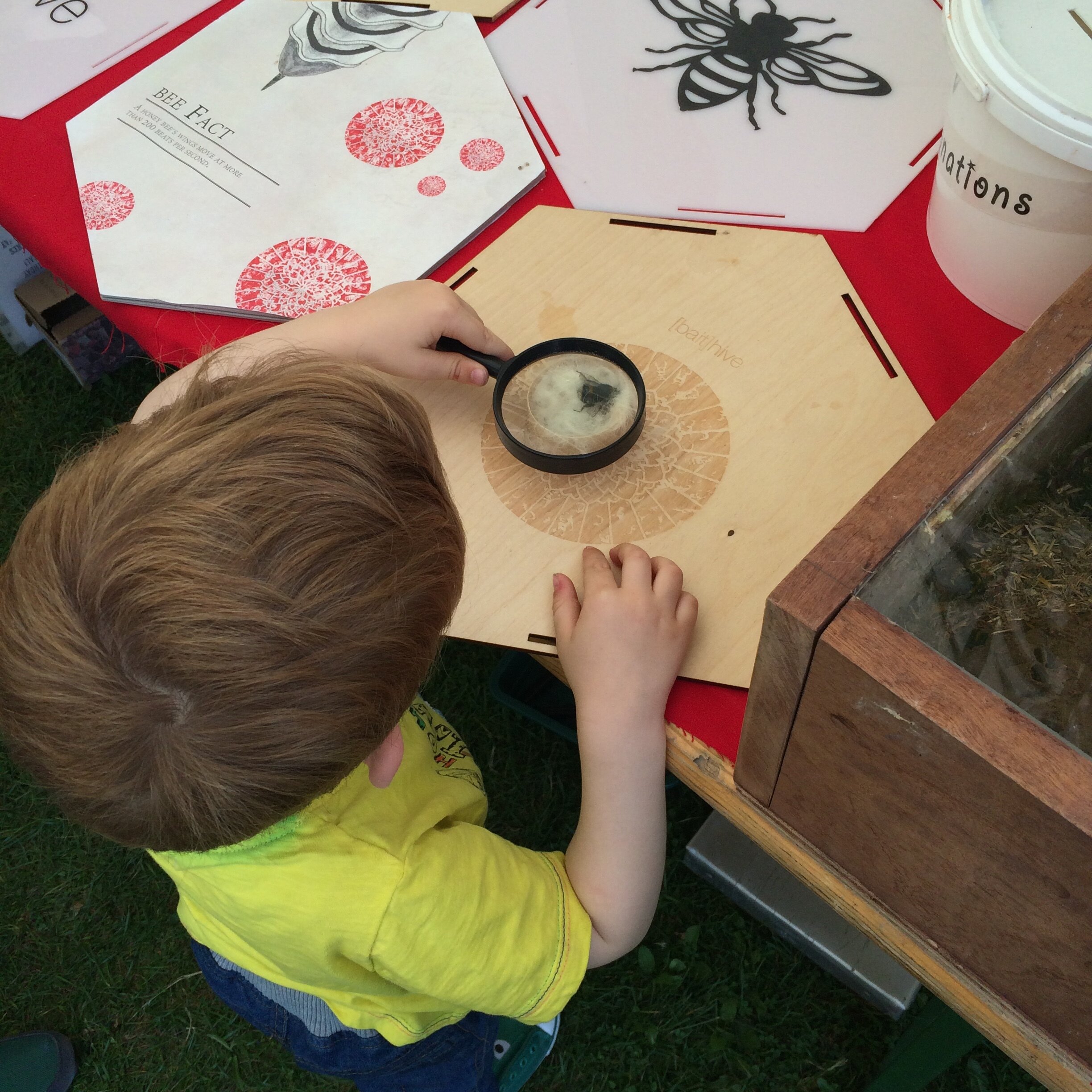 Bait hive project, 2015