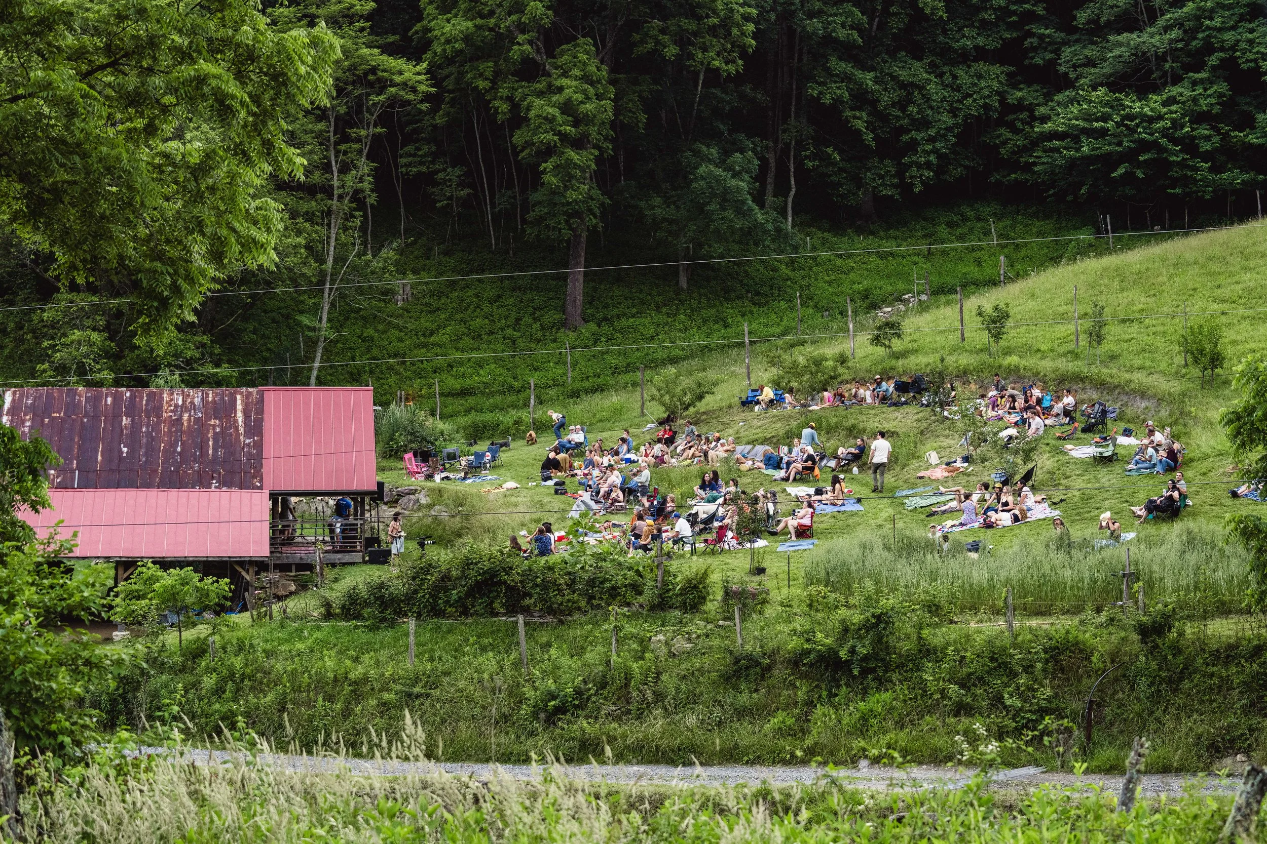 Fiasco Media Rarebird Farms Spring Creek North Carolina Madison County Lightning Bug Fest Nick Shoulders Festival Outdoors Barn Music Mountains-270.jpg