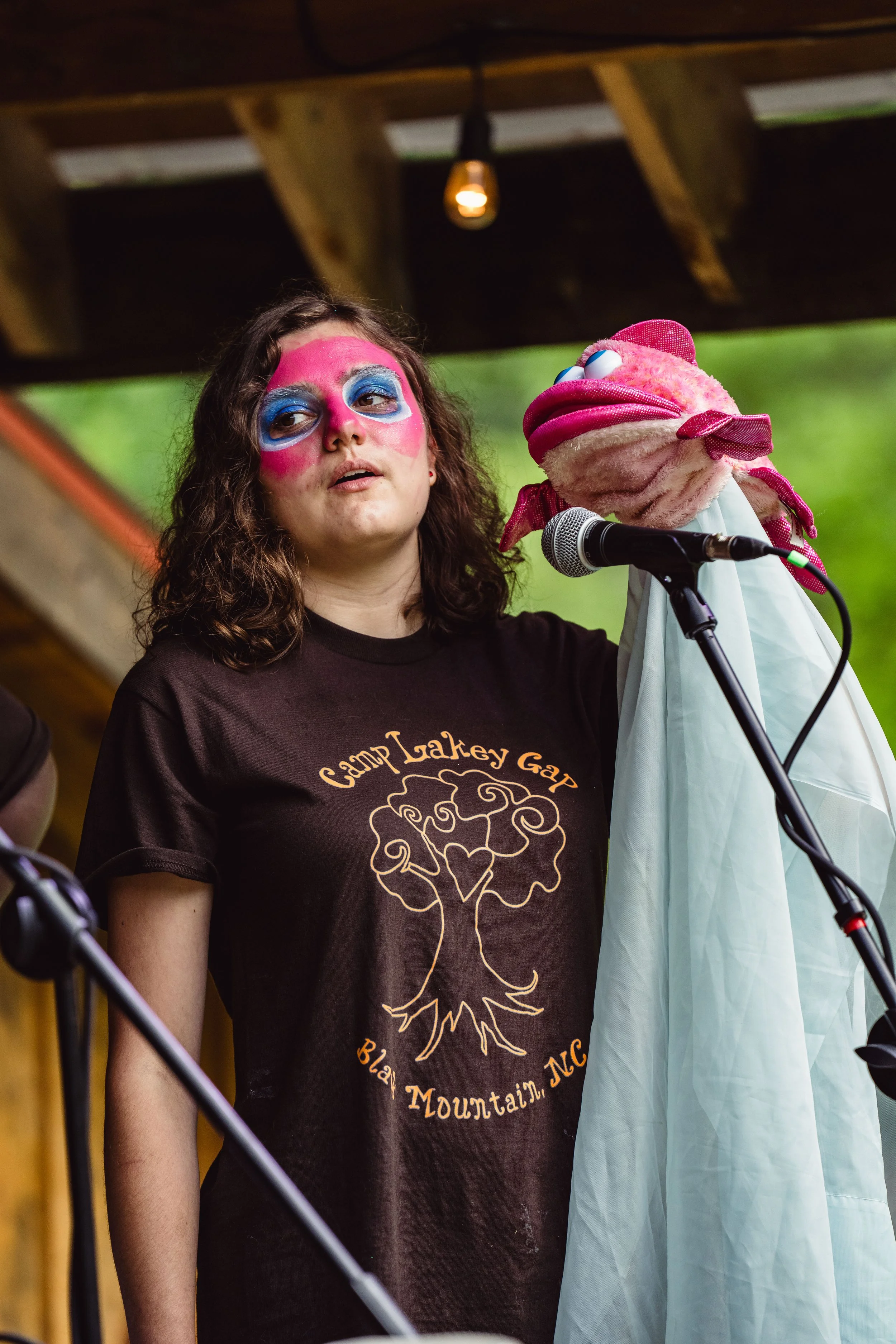 Fiasco Media Rarebird Farms Spring Creek North Carolina Madison County Lightning Bug Fest Nick Shoulders Festival Outdoors Barn Music Mountains-206.jpg