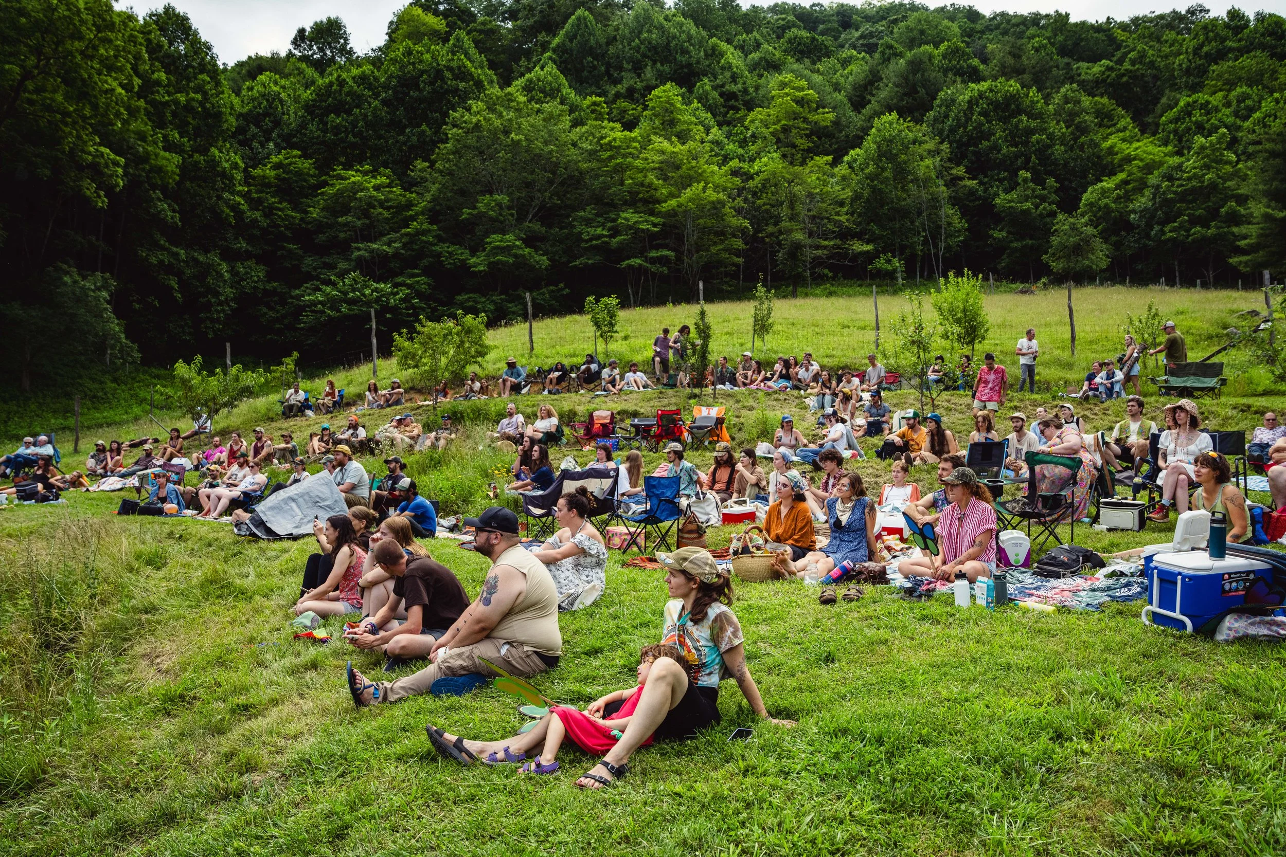 Fiasco Media Rarebird Farms Spring Creek North Carolina Madison County Lightning Bug Fest Nick Shoulders Festival Outdoors Barn Music Mountains-202.jpg