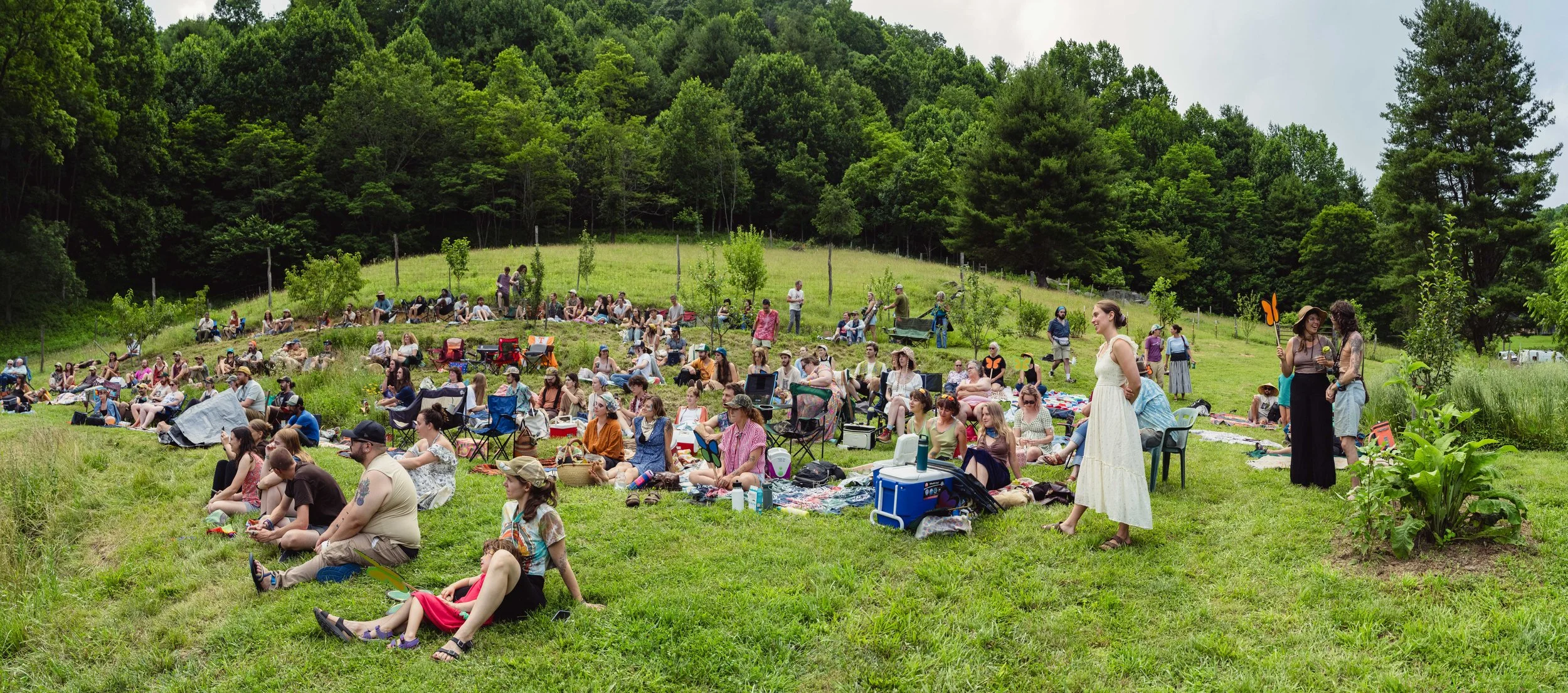 Fiasco Media Rarebird Farms Spring Creek North Carolina Madison County Lightning Bug Fest Nick Shoulders Festival Outdoors Barn Music Mountains-203.jpg