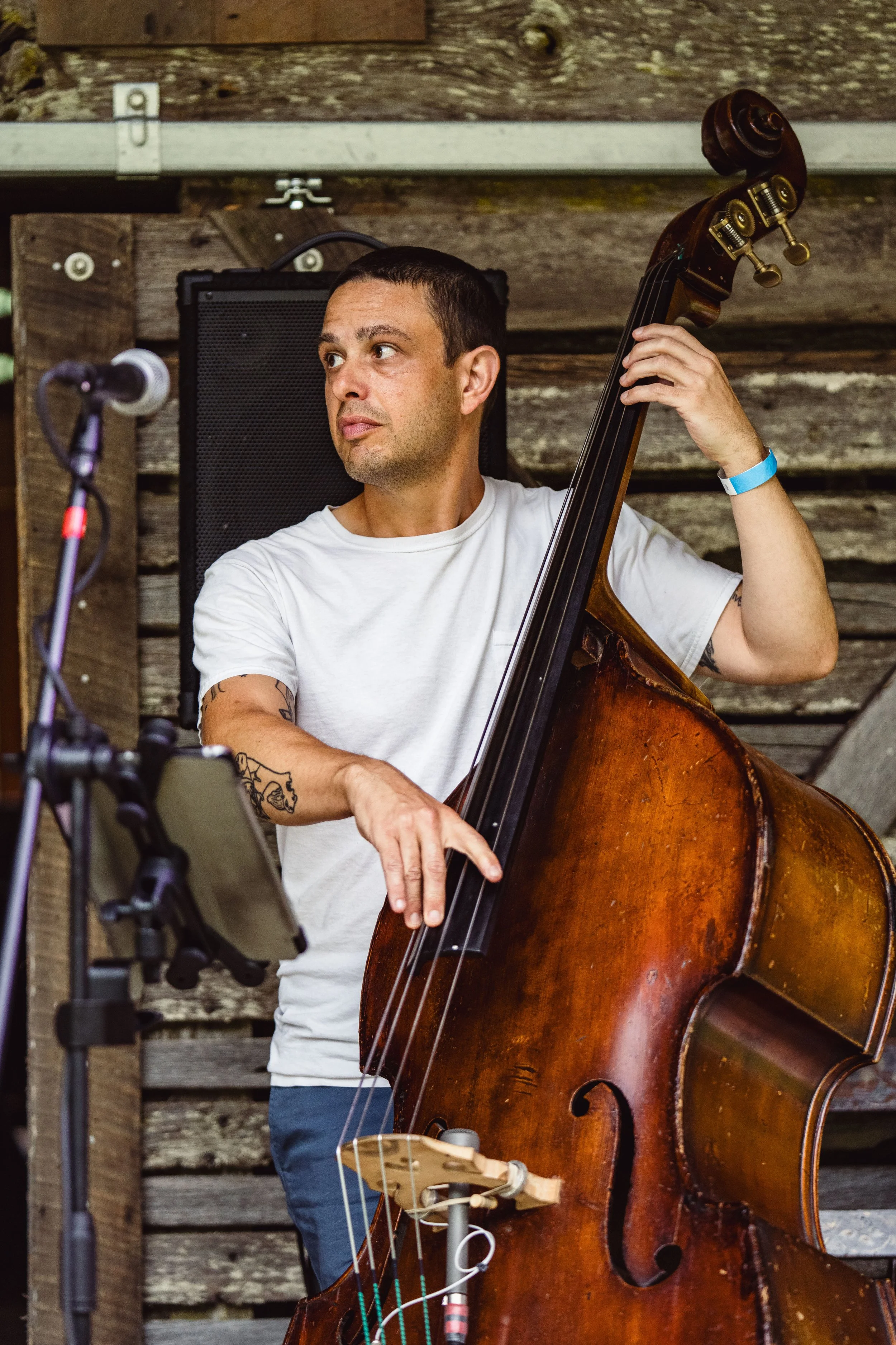 Fiasco Media Rarebird Farms Spring Creek North Carolina Madison County Lightning Bug Fest Nick Shoulders Festival Outdoors Barn Music Mountains-237.jpg