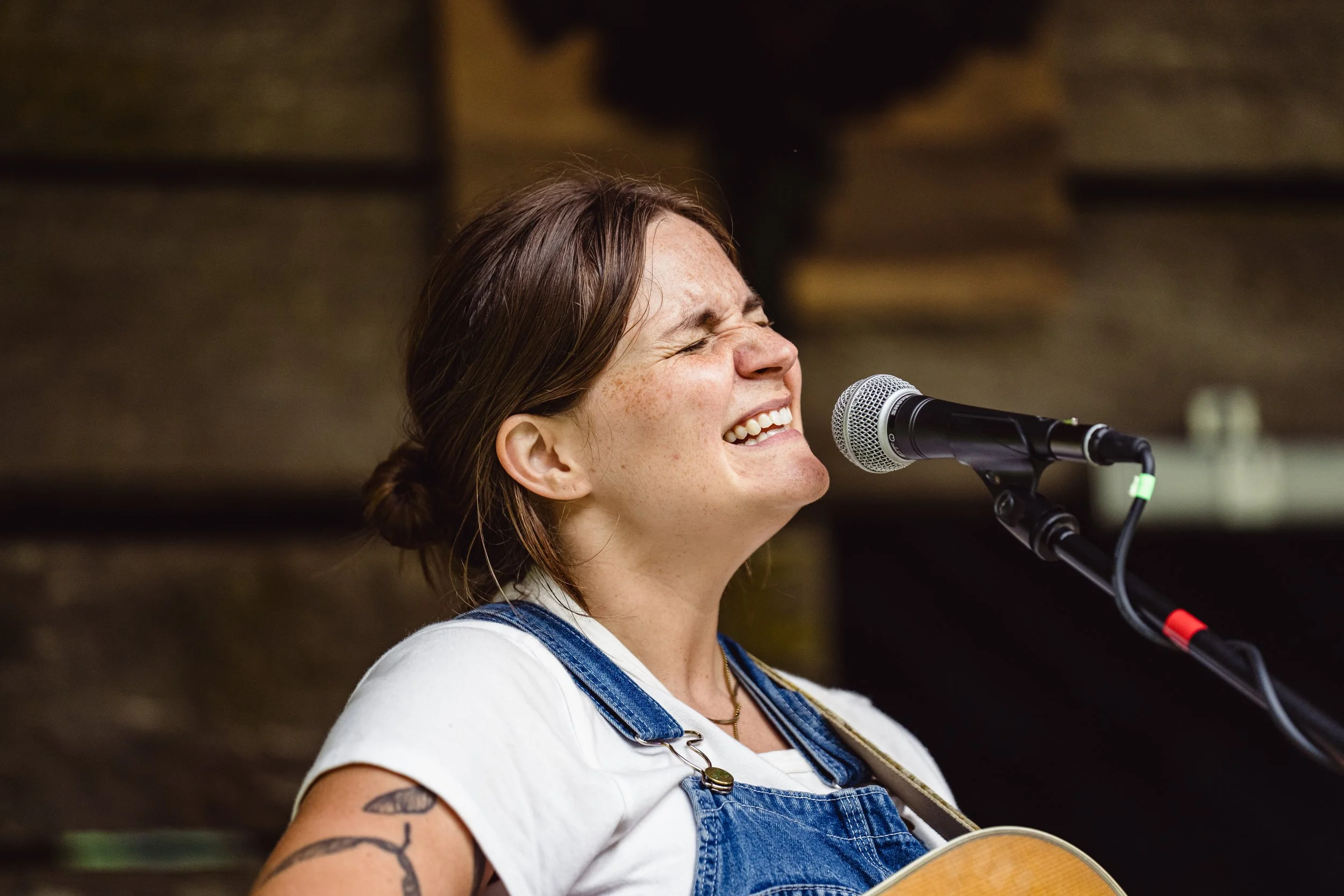 Fiasco Media Rarebird Farms Spring Creek North Carolina Madison County Lightning Bug Fest Nick Shoulders Festival Outdoors Barn Music Mountains-238.jpg