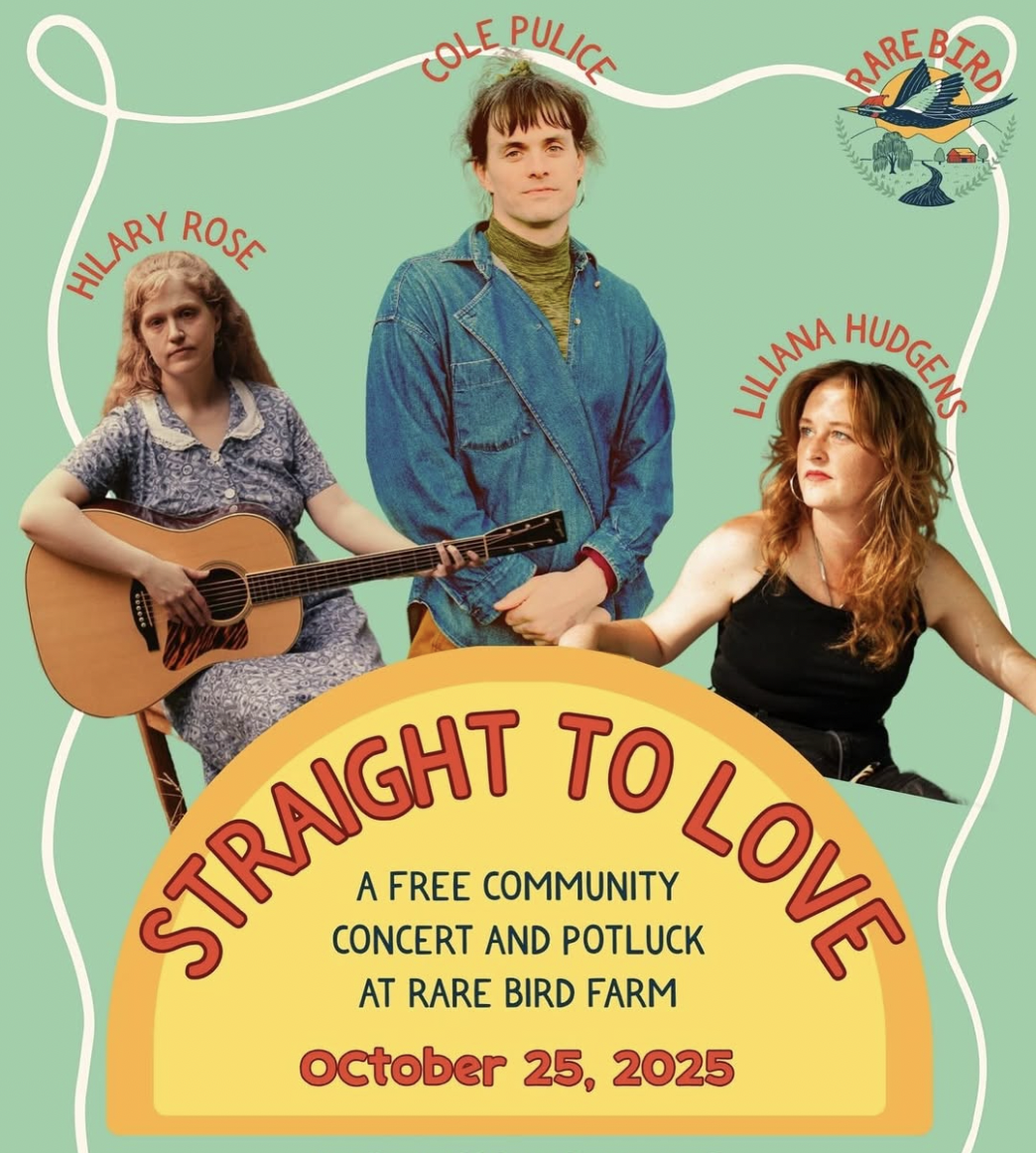 Straight to Love: A Free Community Concert & Potluck