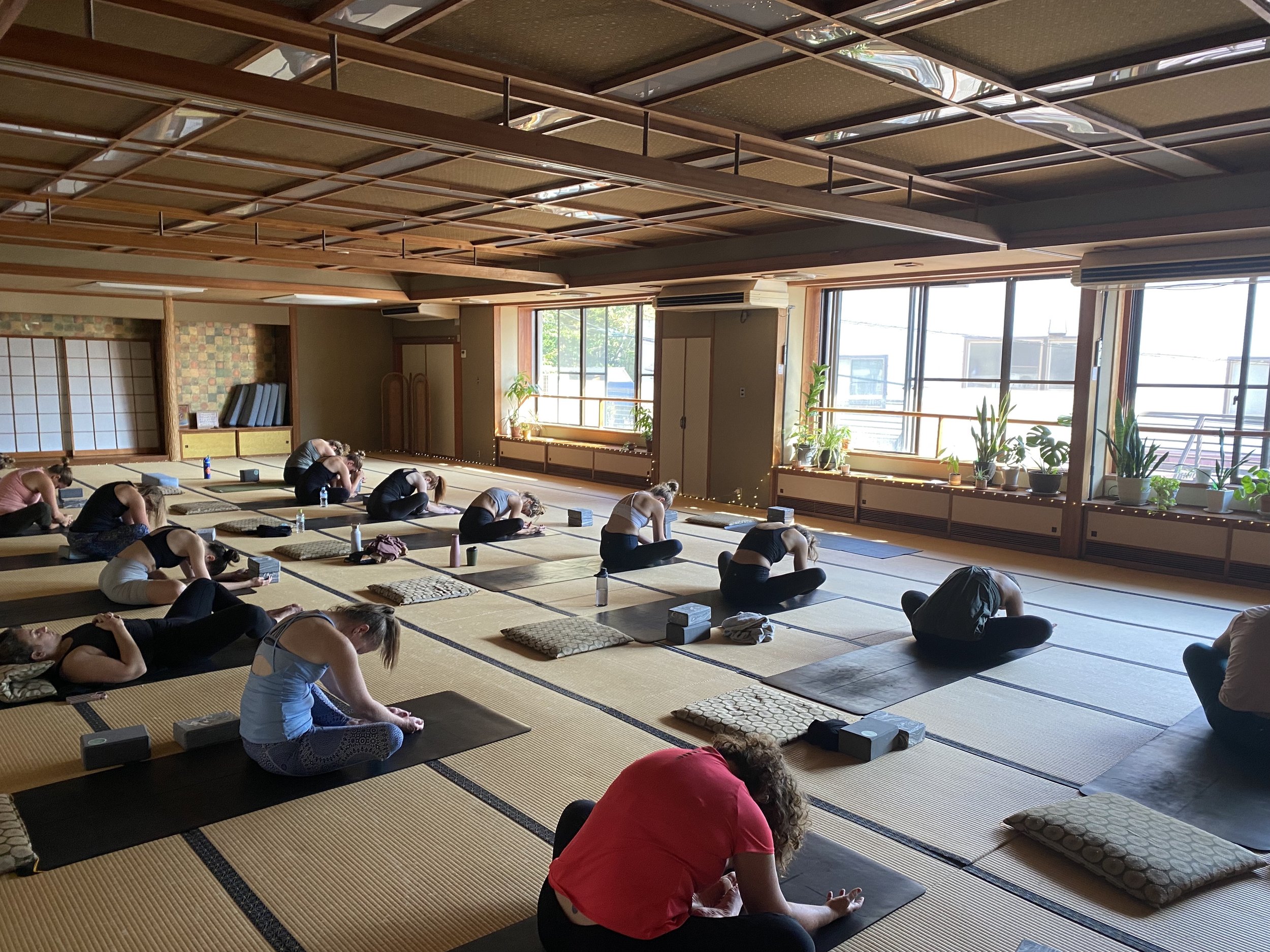 shizen view yoga 4.jpg