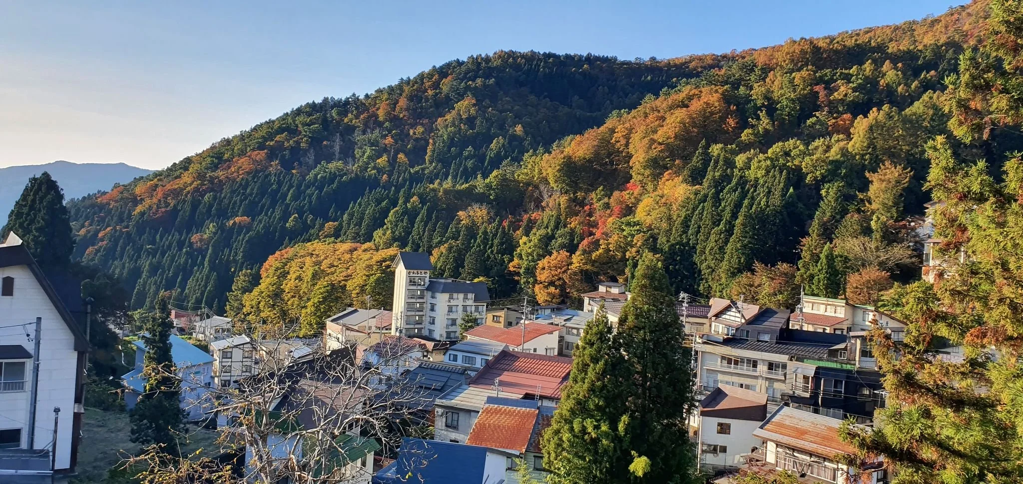 japan yoga retreat