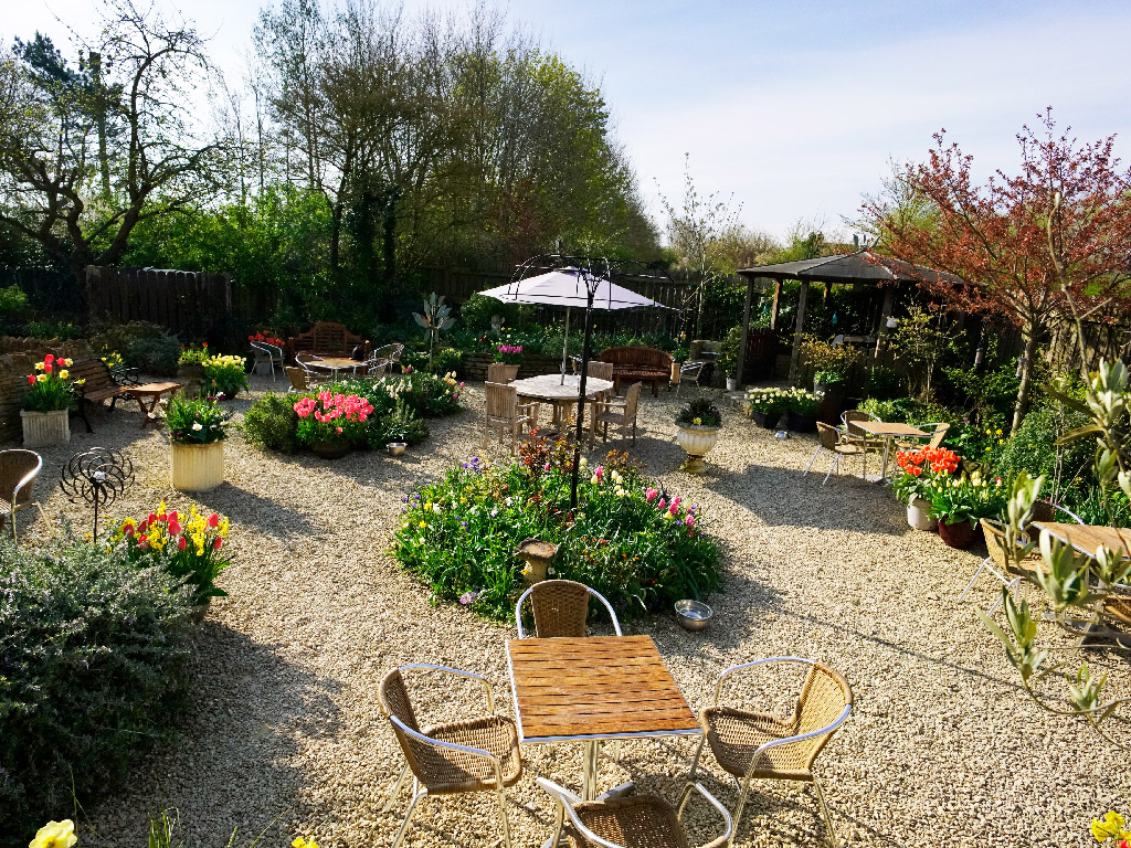 Garden2019_7.jpg