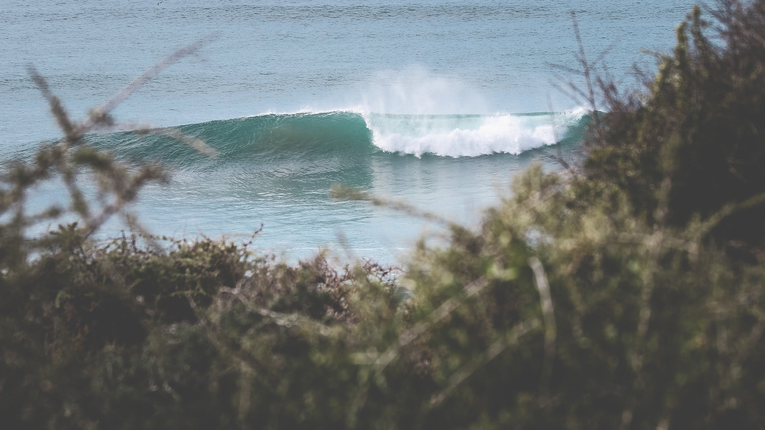 Olo Surf Nature -