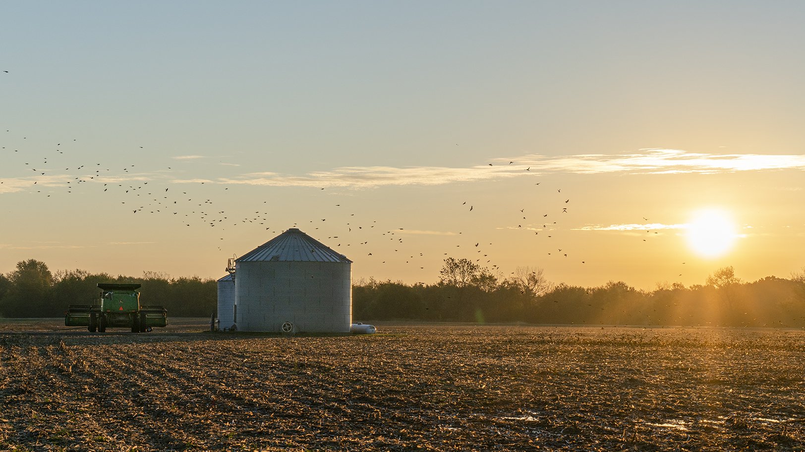 _DSC7045-1.jpg