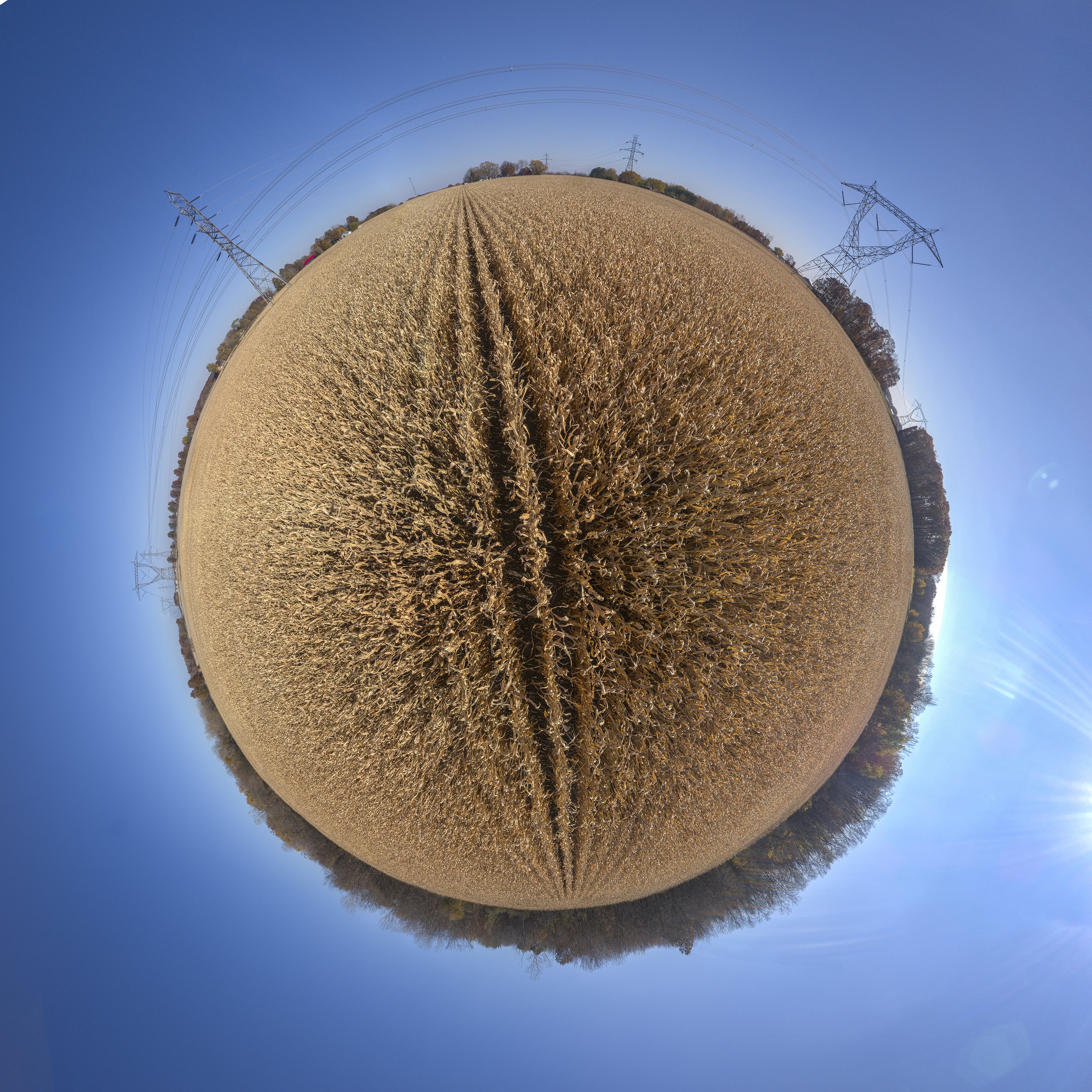 Cornfield Panorama_hdr.jpg