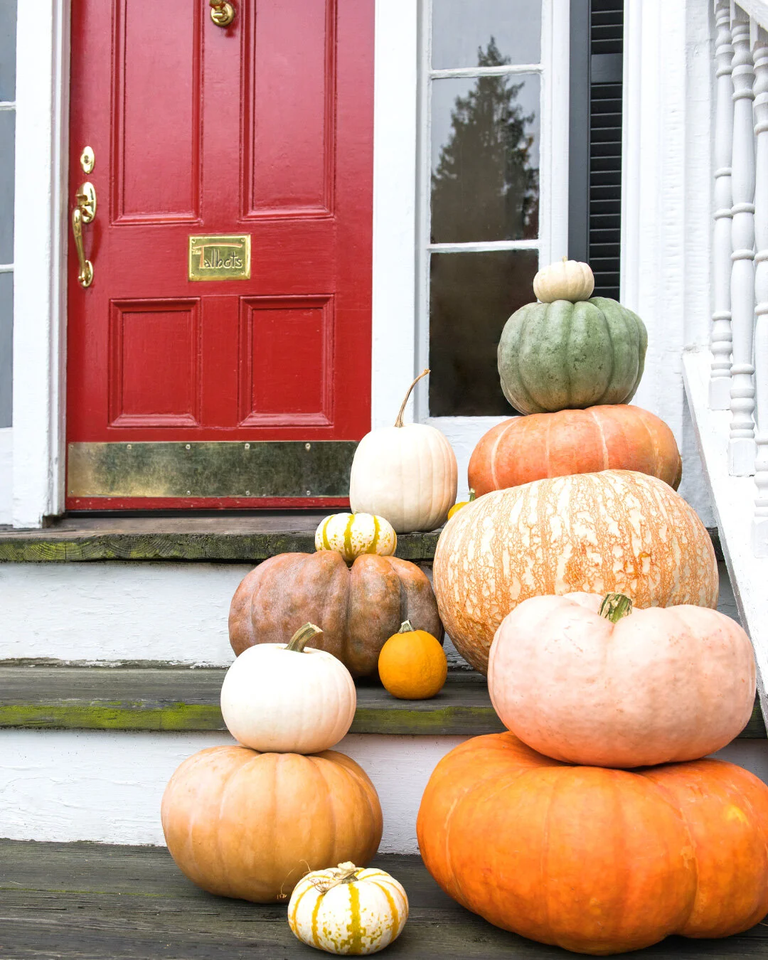 103119_Talbots_Halloween_.jpg