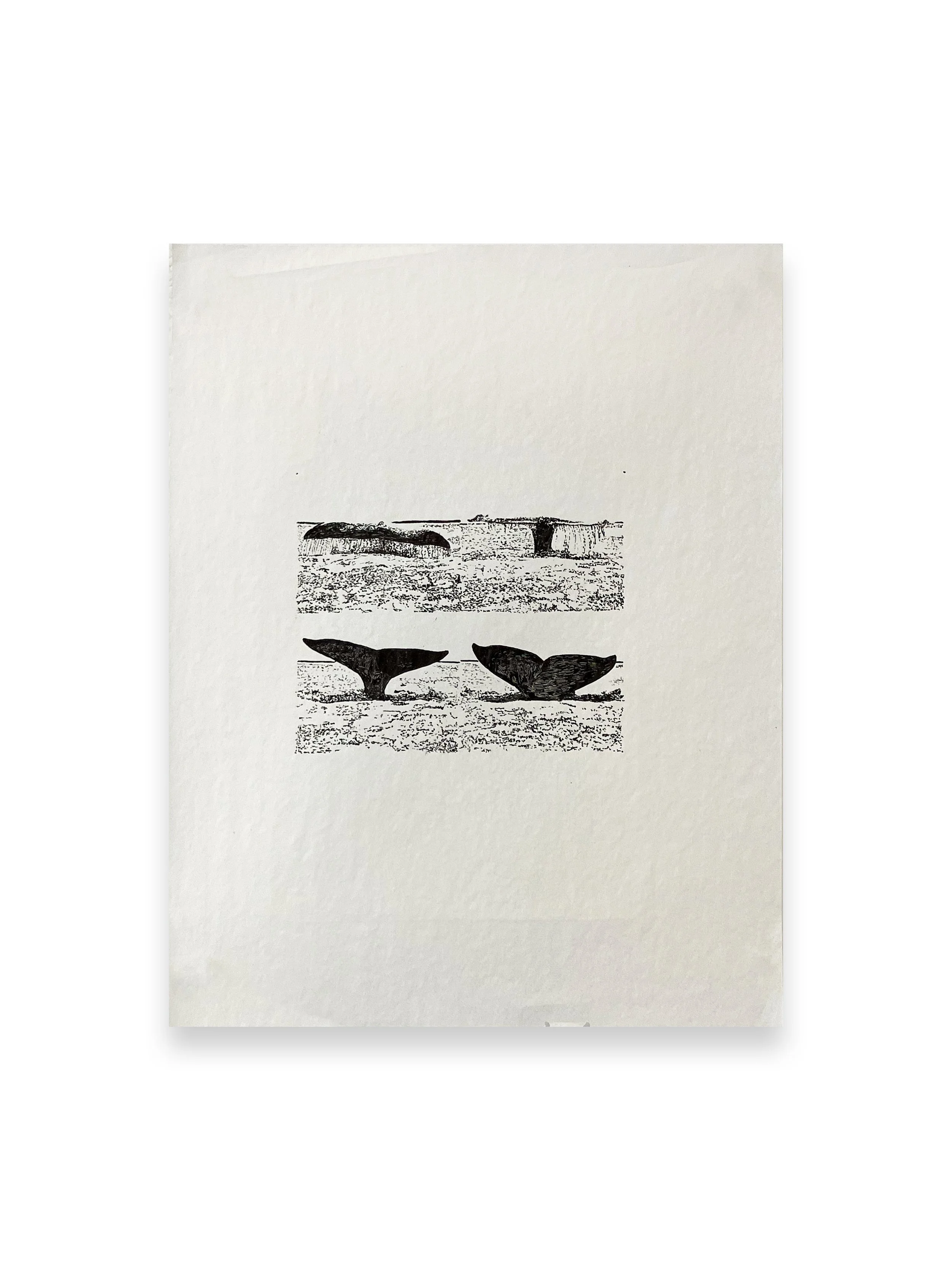 Antechamber, Nico Trevizo