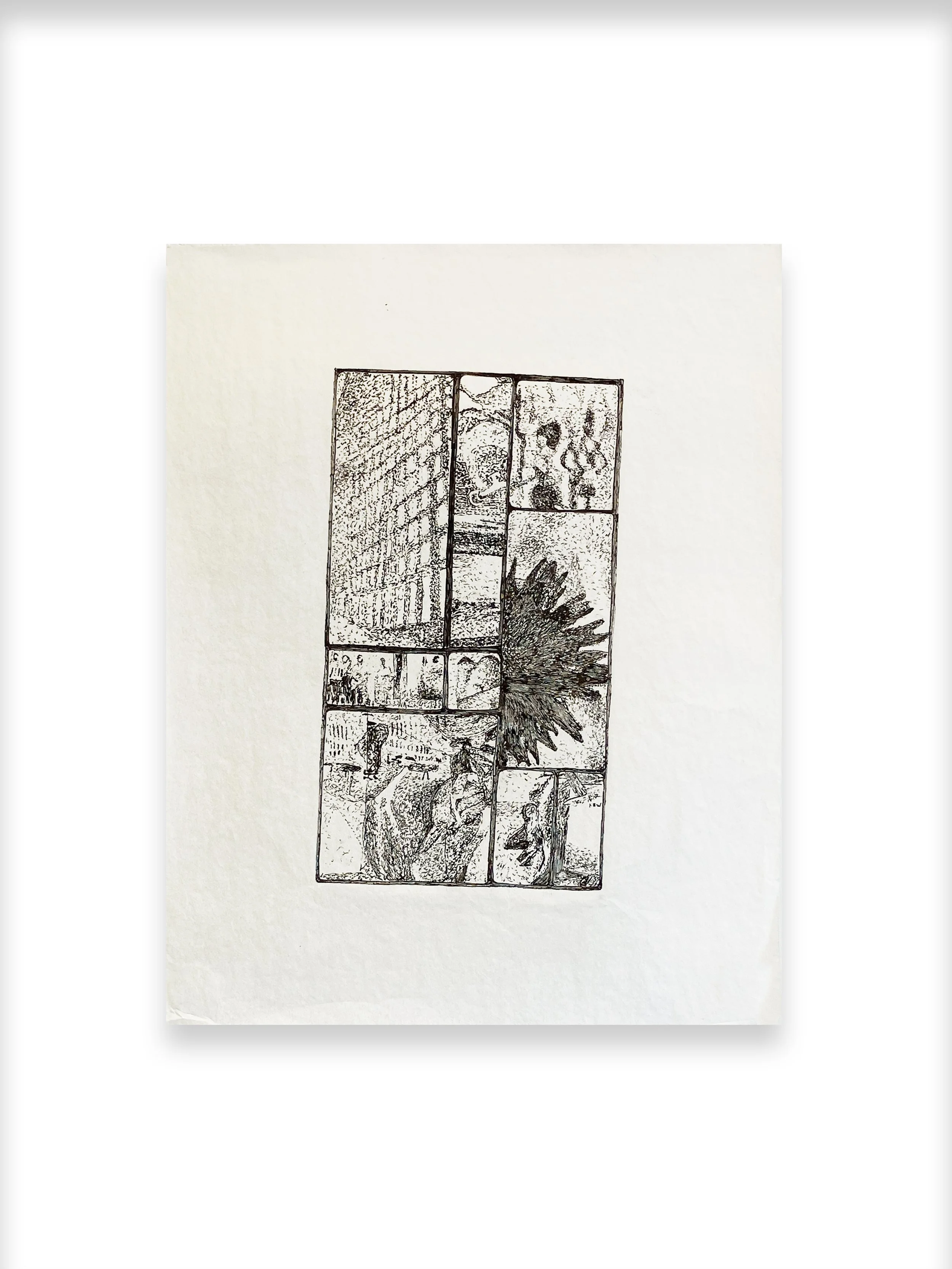 Photosynthesis, Nico Trevizo