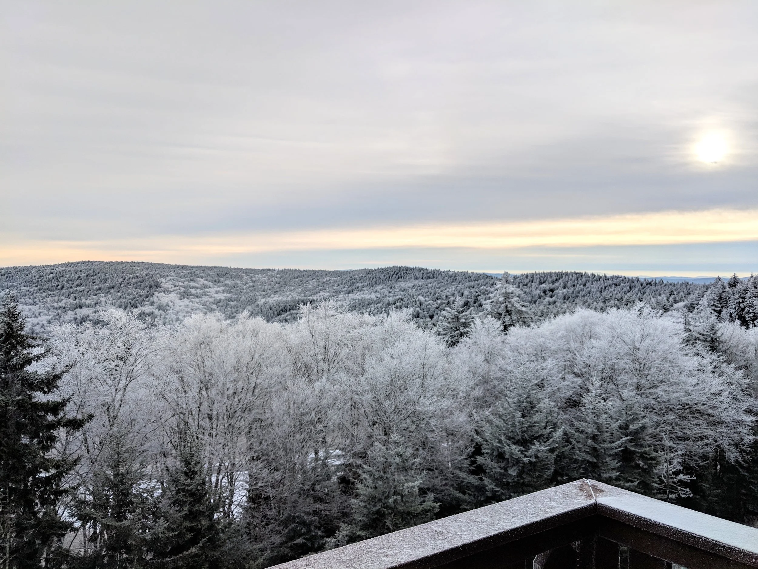 Icy, Winter Morning at Bear Cub’s Den
