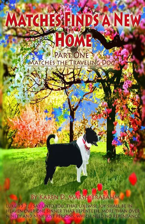 Matches Finds A New Home - Book 1