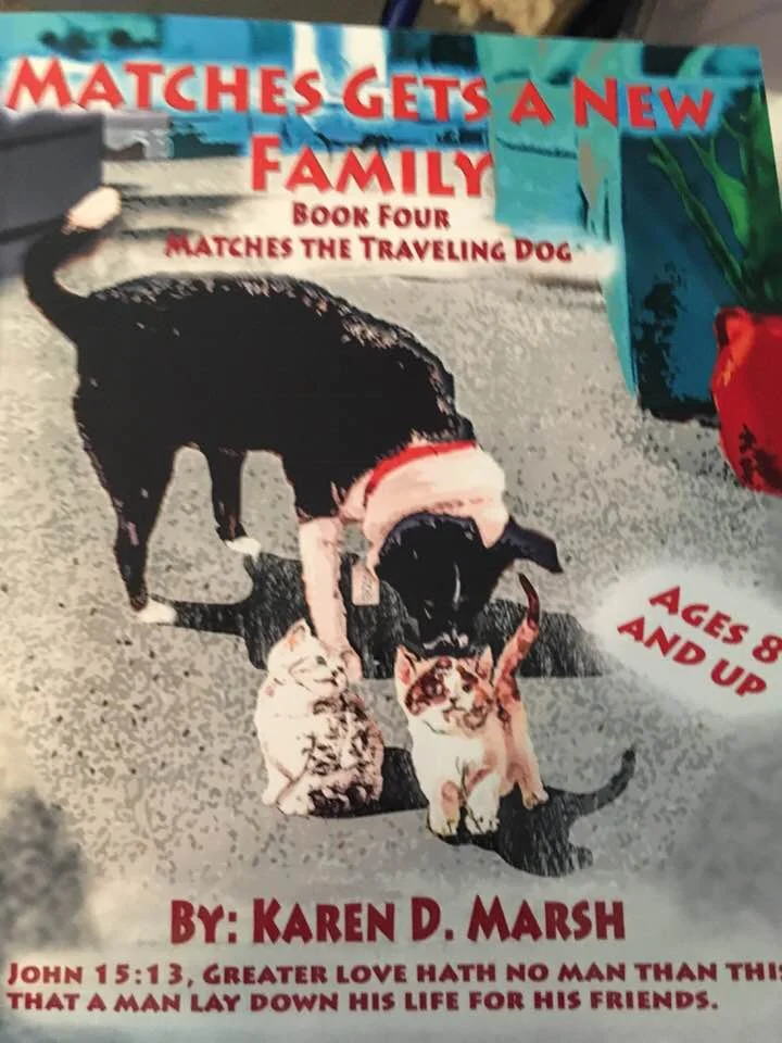 Matches Gets A New Family - Book 4