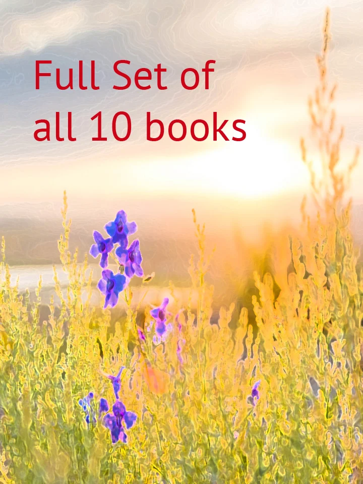 Full Set Of Matches The Traveling Dog Books (10 Books)