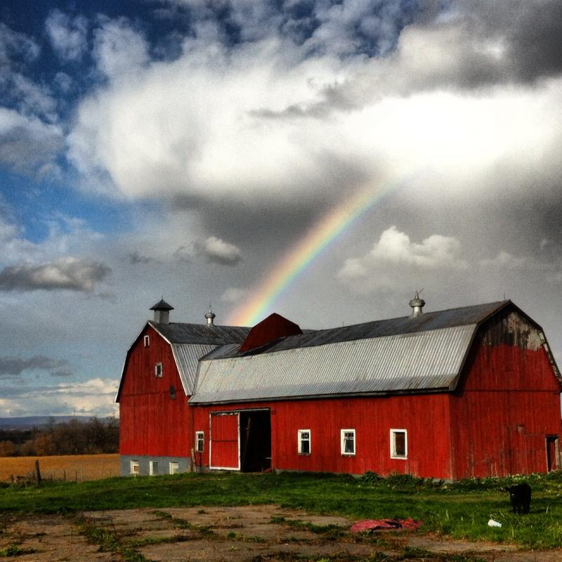 barn-rainbow.58134417_std.jpg