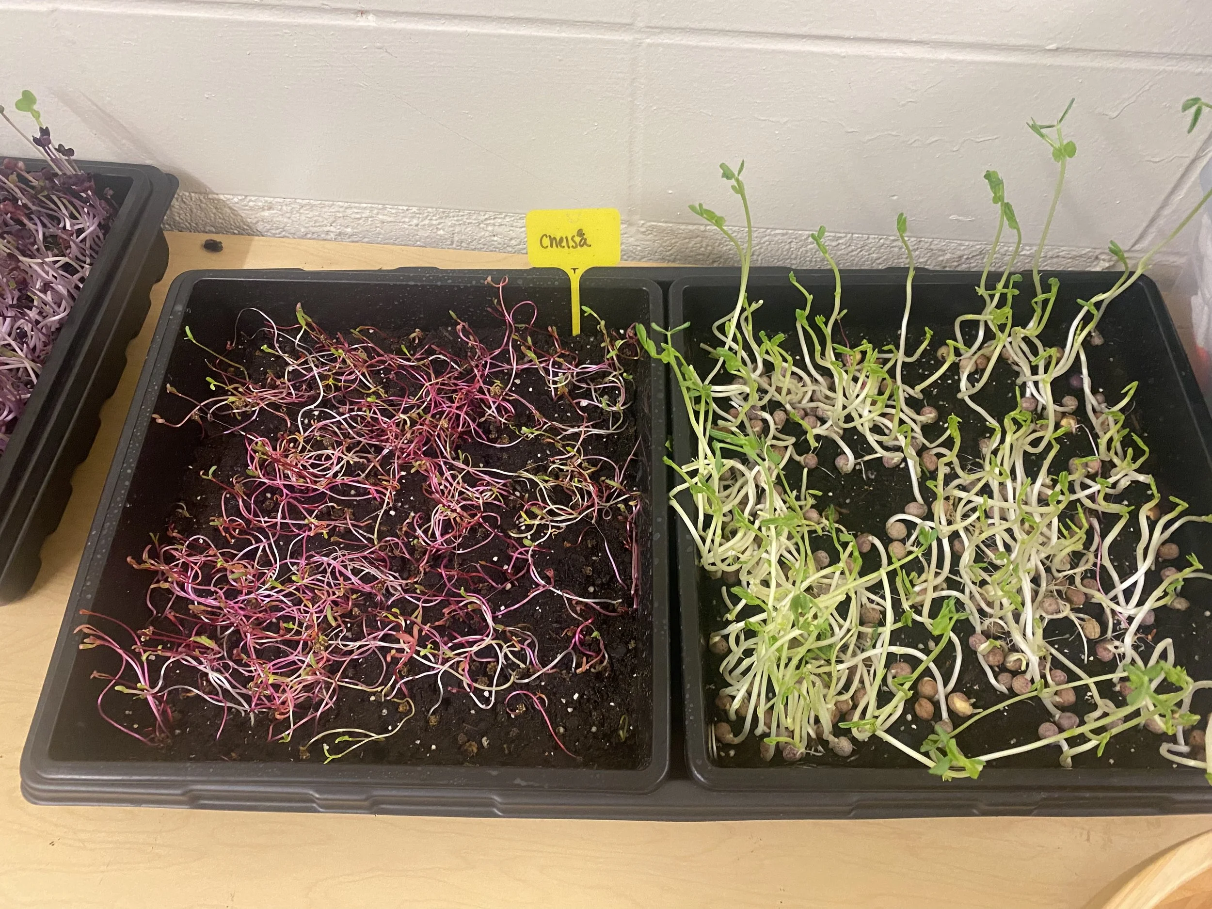 September Indoors & Outdoors