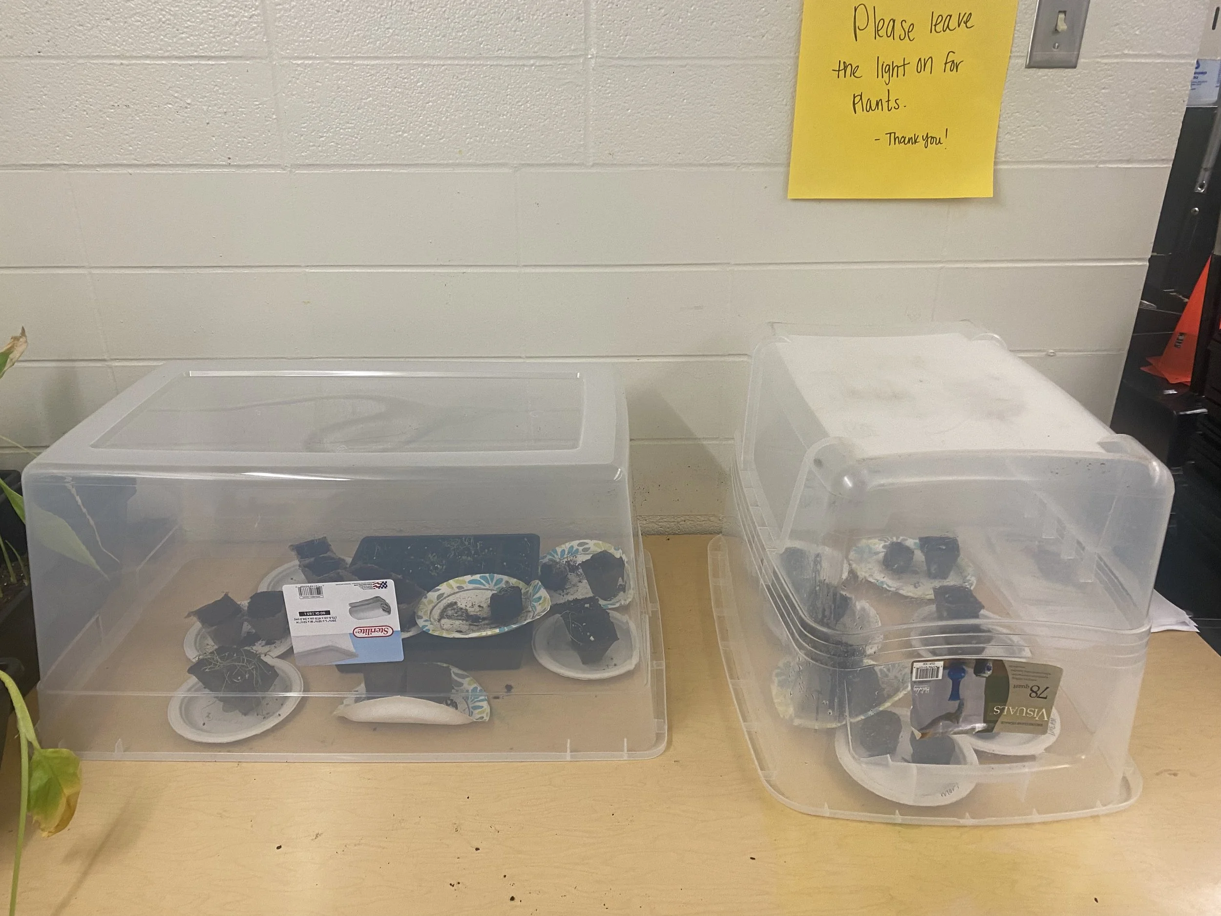 Preparing for Planting Day on April 21